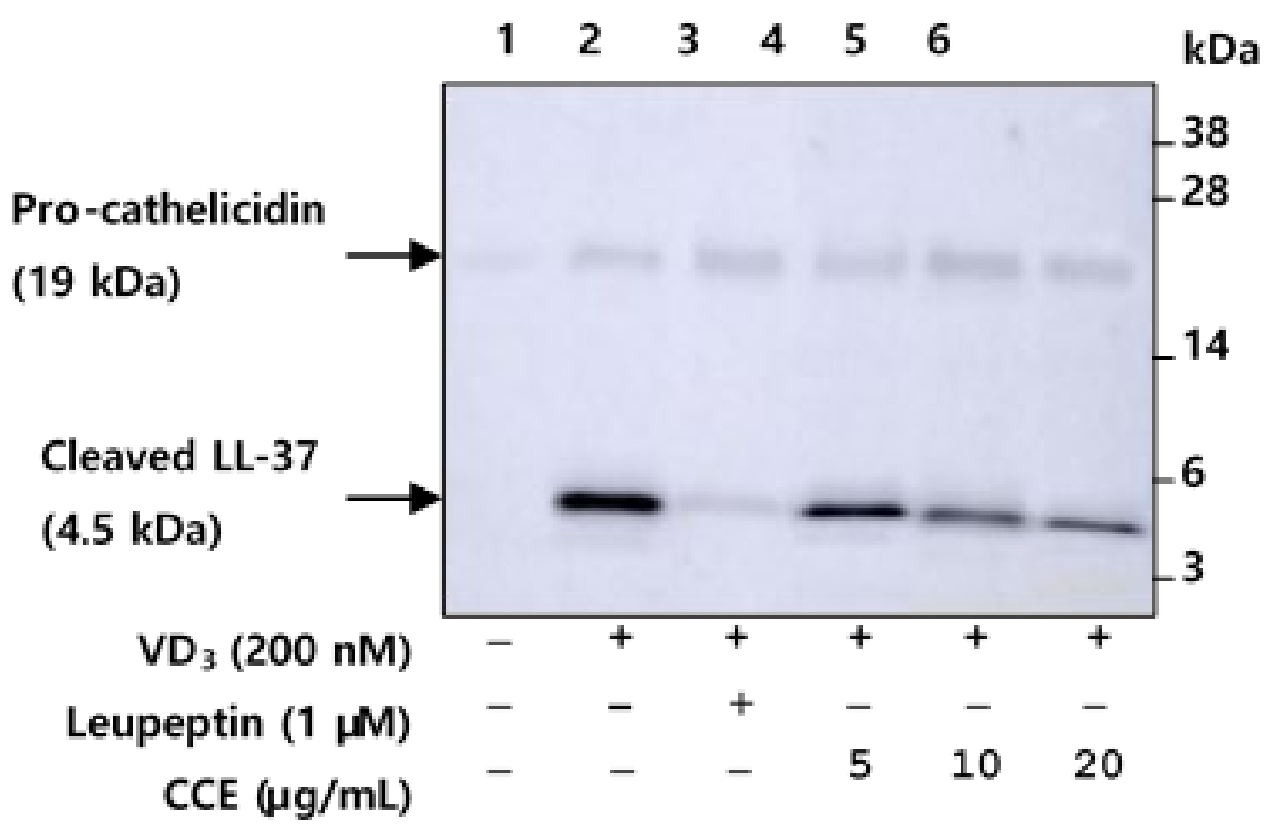 Molecules 25 05556 g004 Molecules 25 05556 g004
