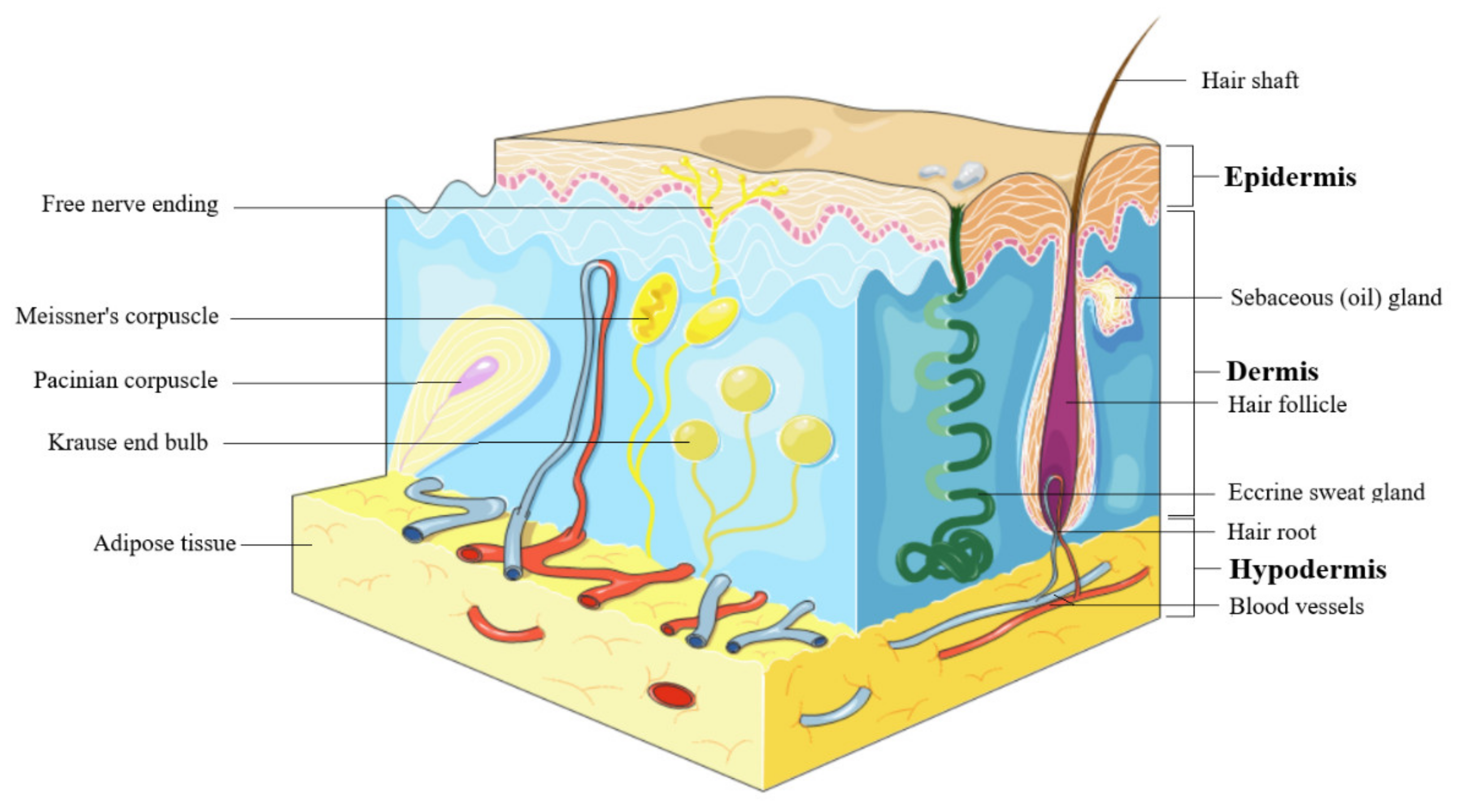Molecules 25 05557 g001