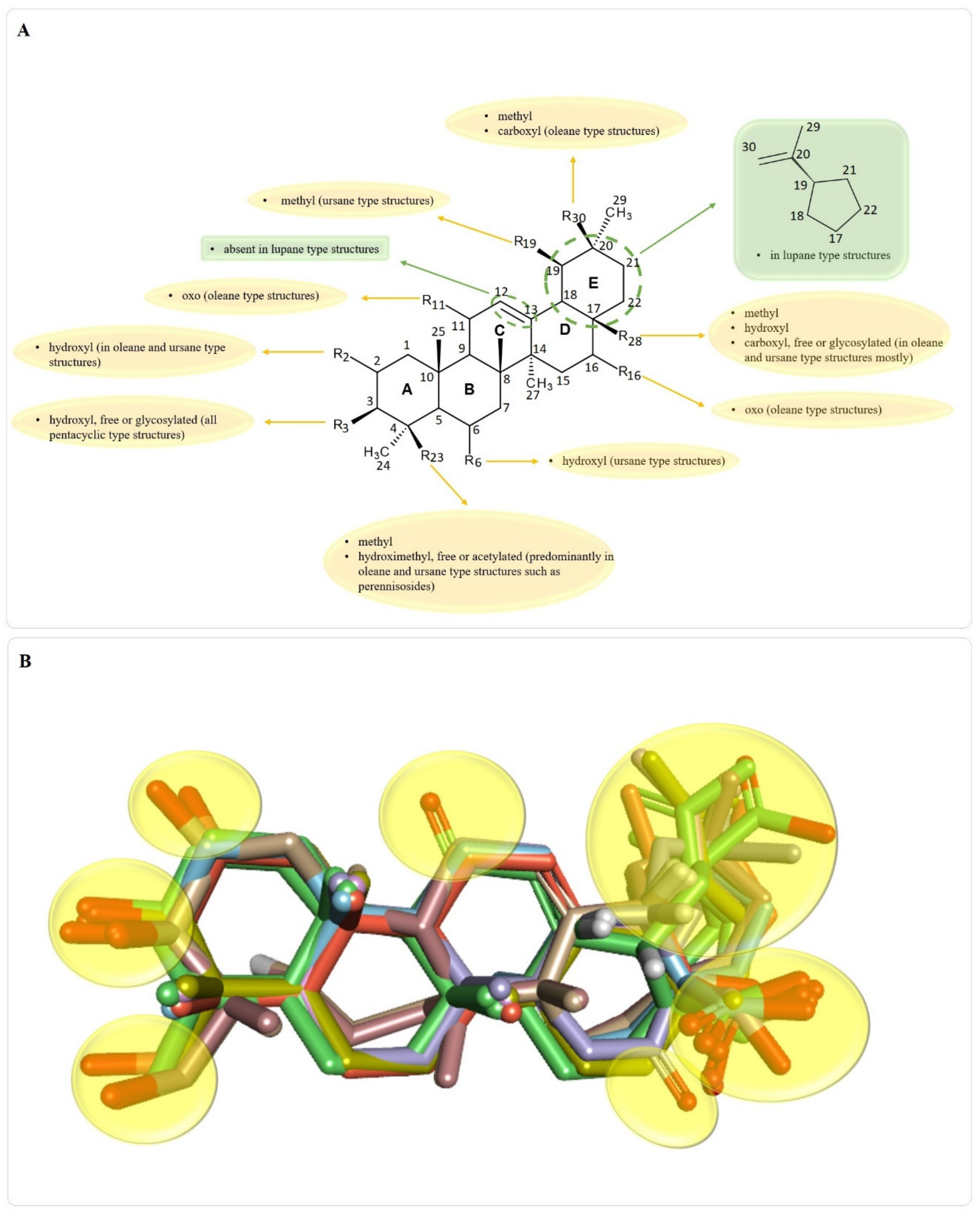 Molecules 25 05557 g007