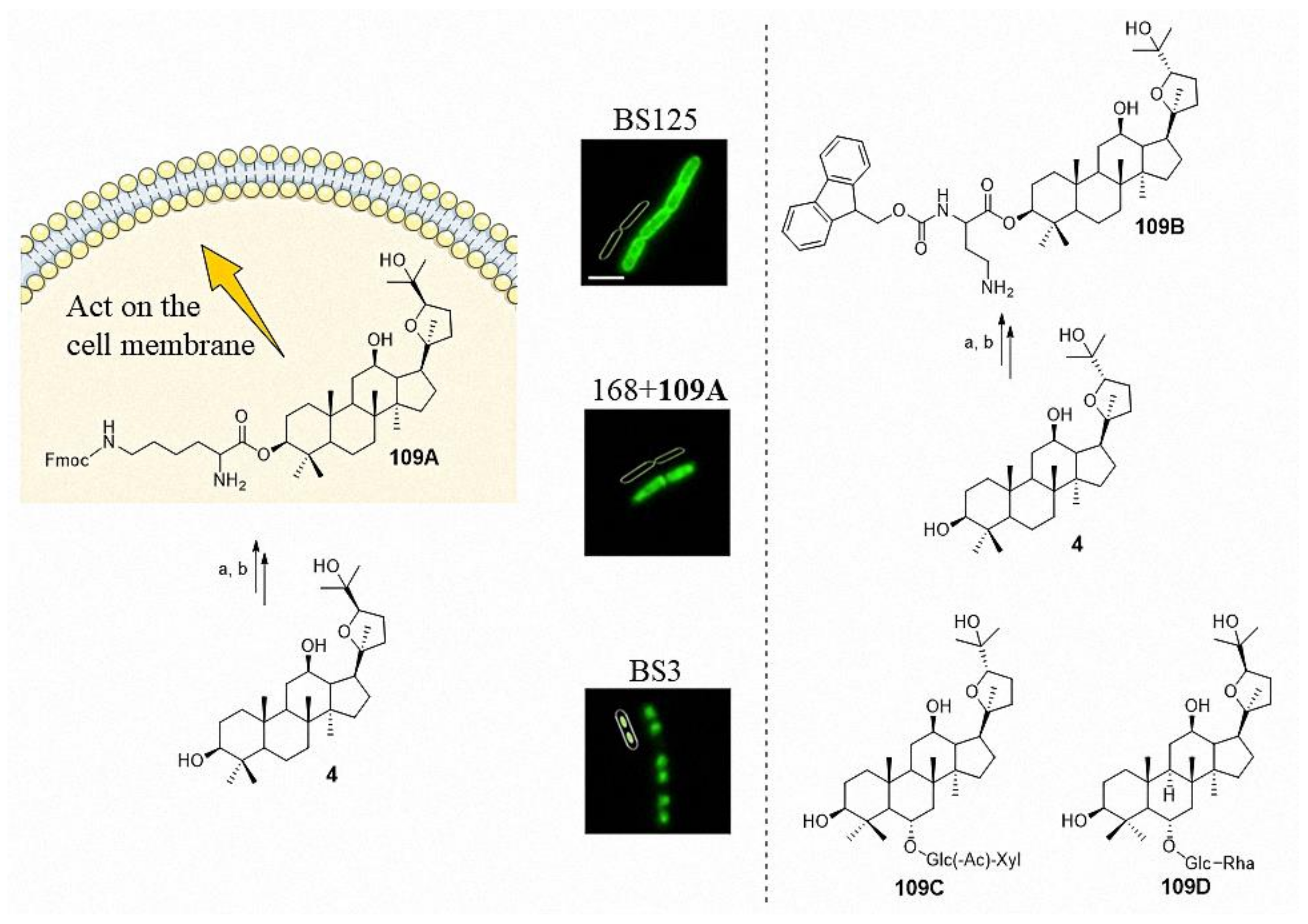 Molecules 25 05562 g008