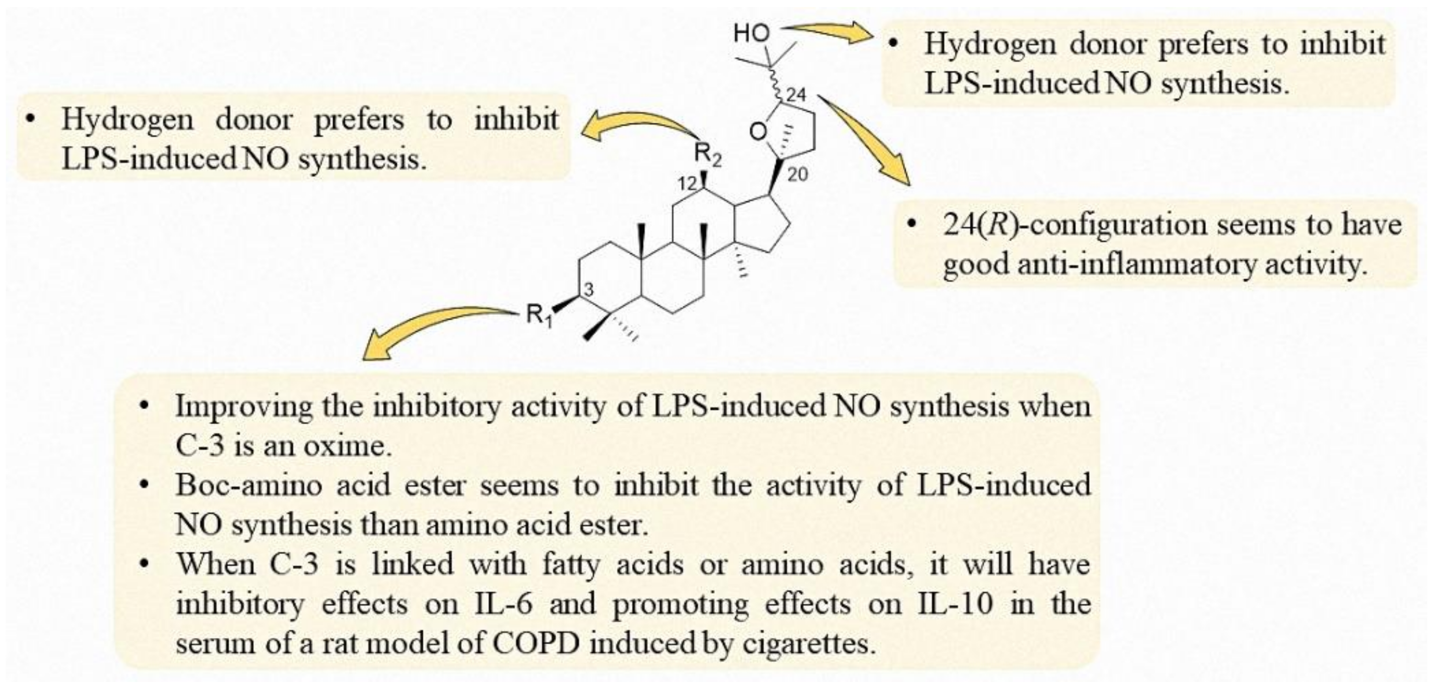 Molecules 25 05562 g012