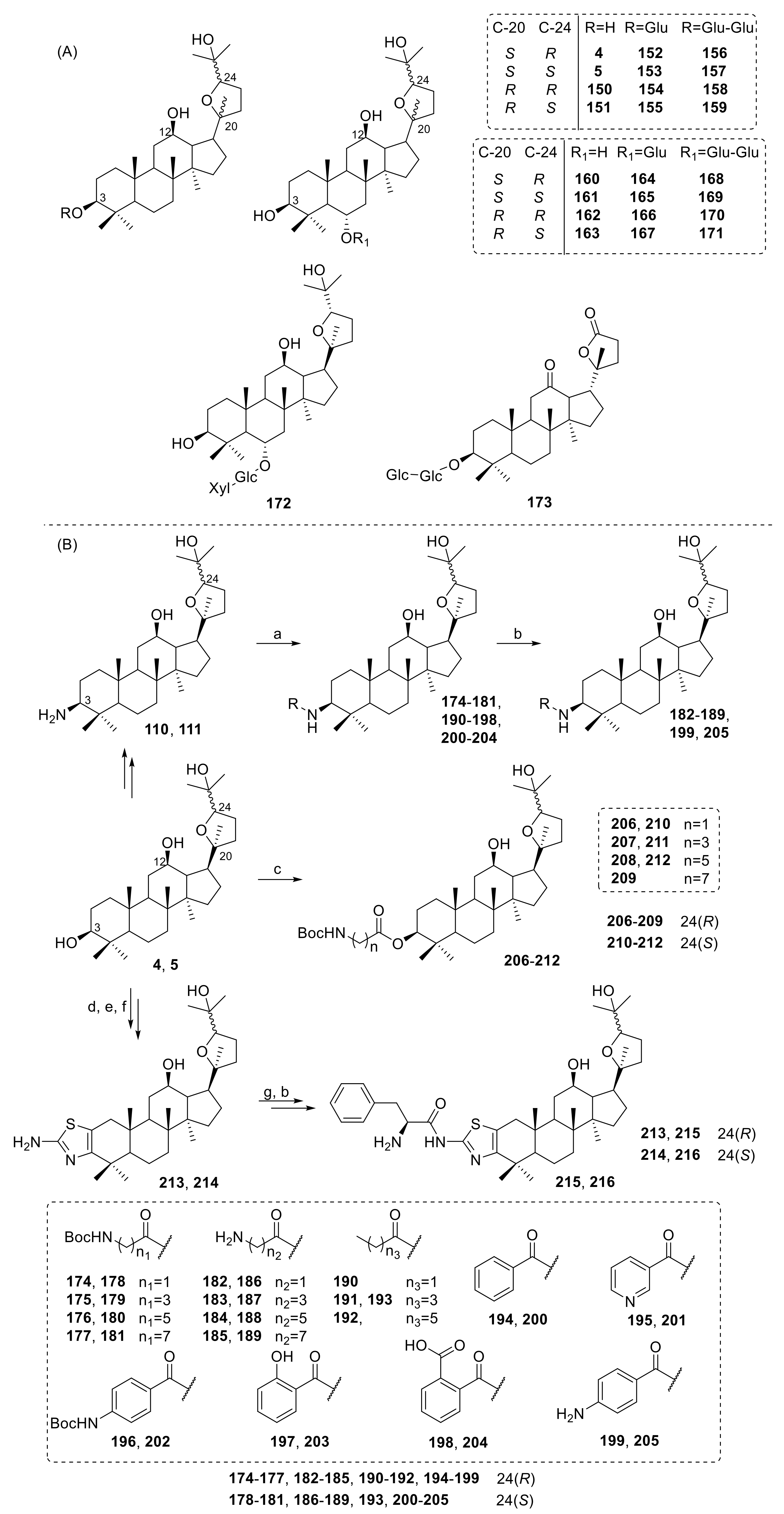 Molecules 25 05562 g013
