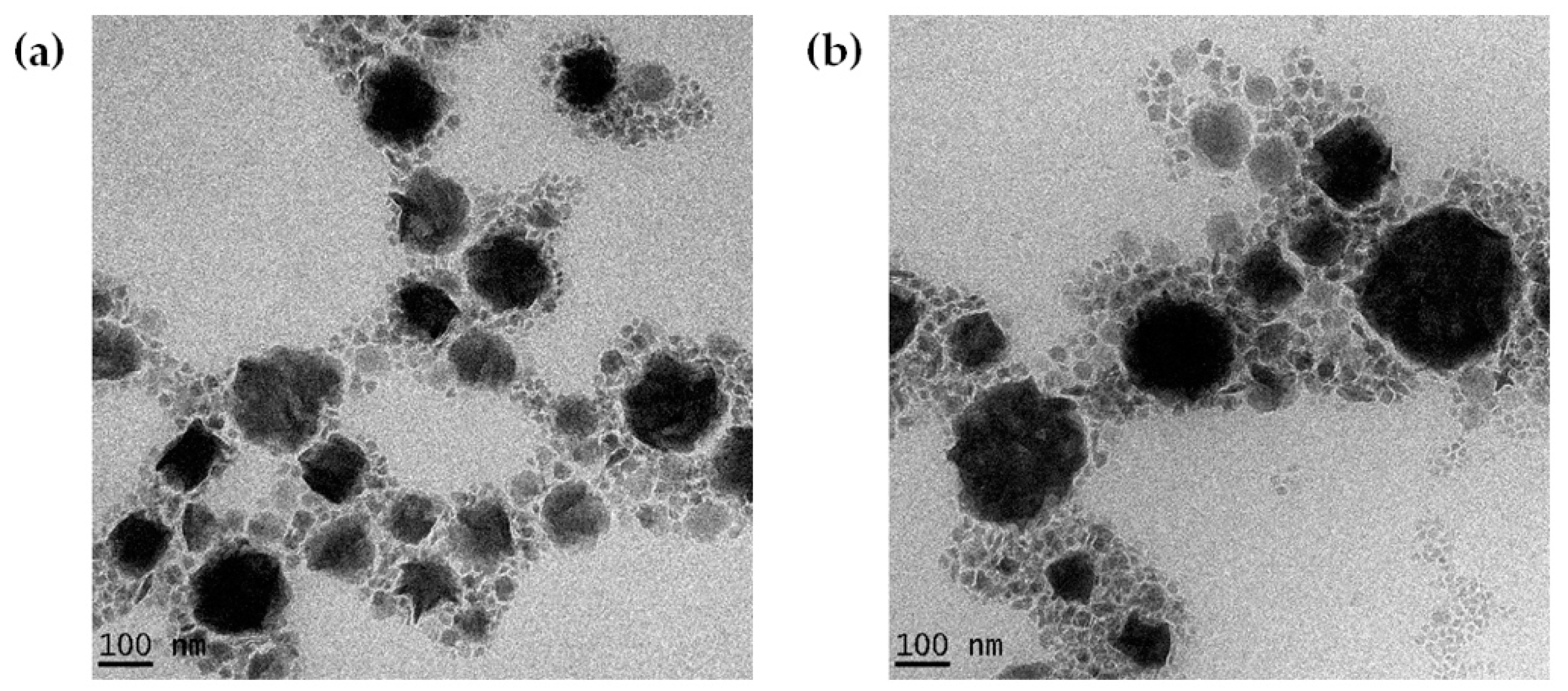 Molecules 25 05575 g003 Molecules 25 05575 g003