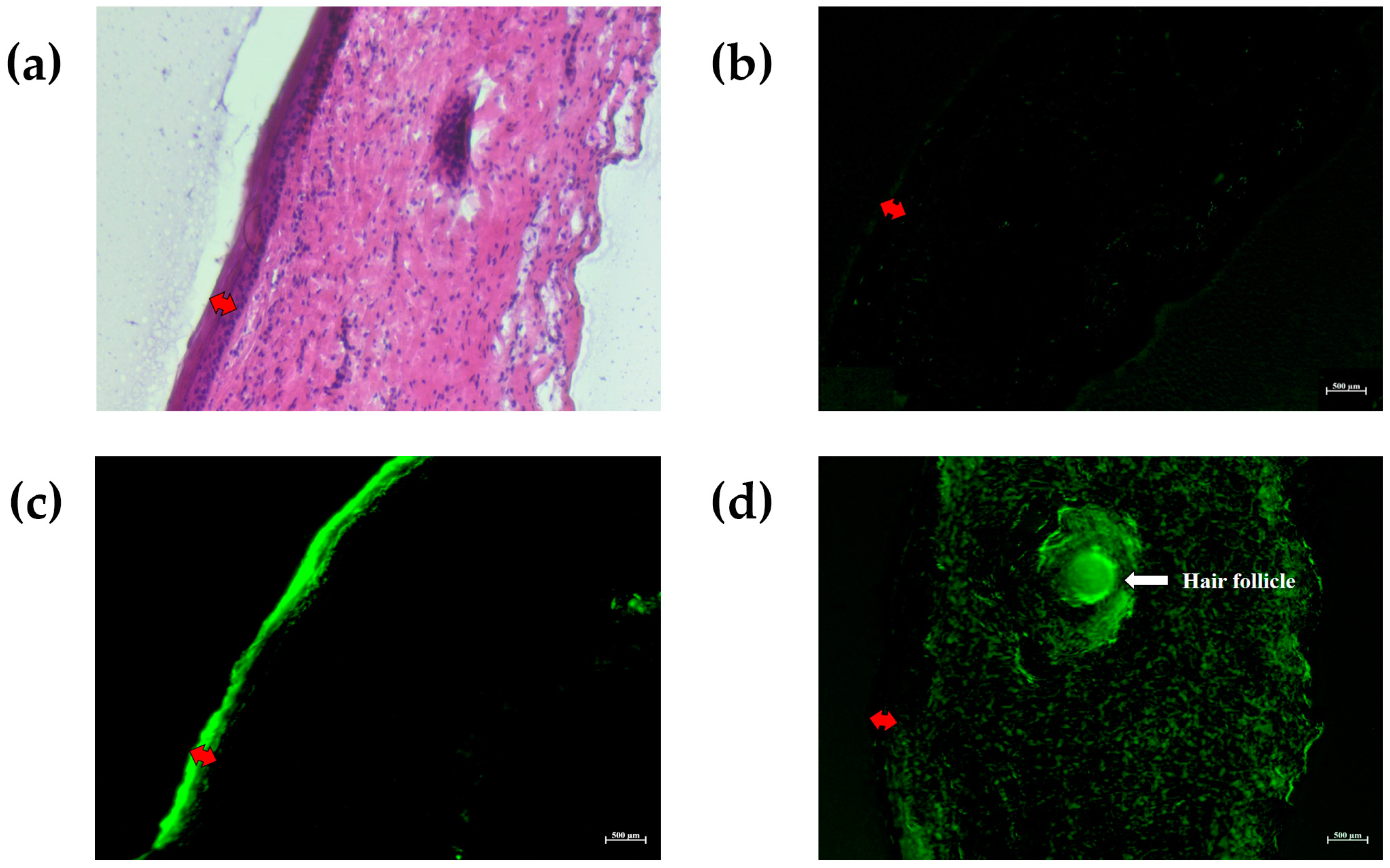 Molecules 25 05575 g006 Molecules 25 05575 g006
