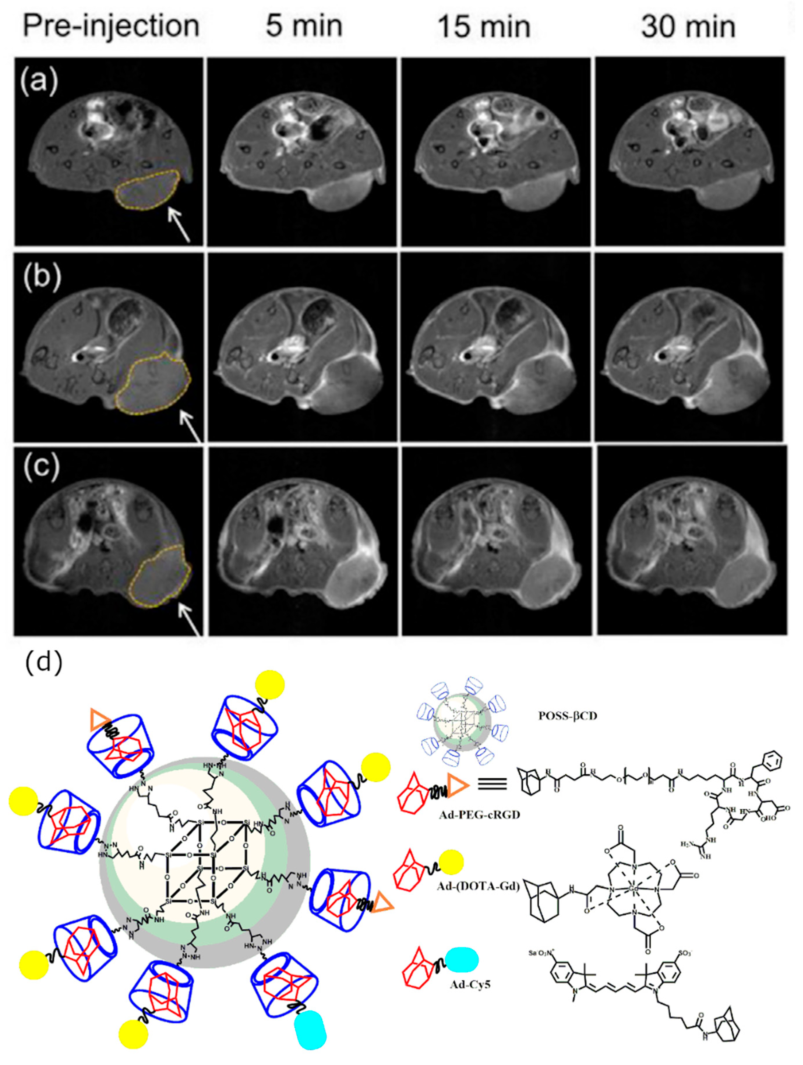 Molecules 25 05576 g003