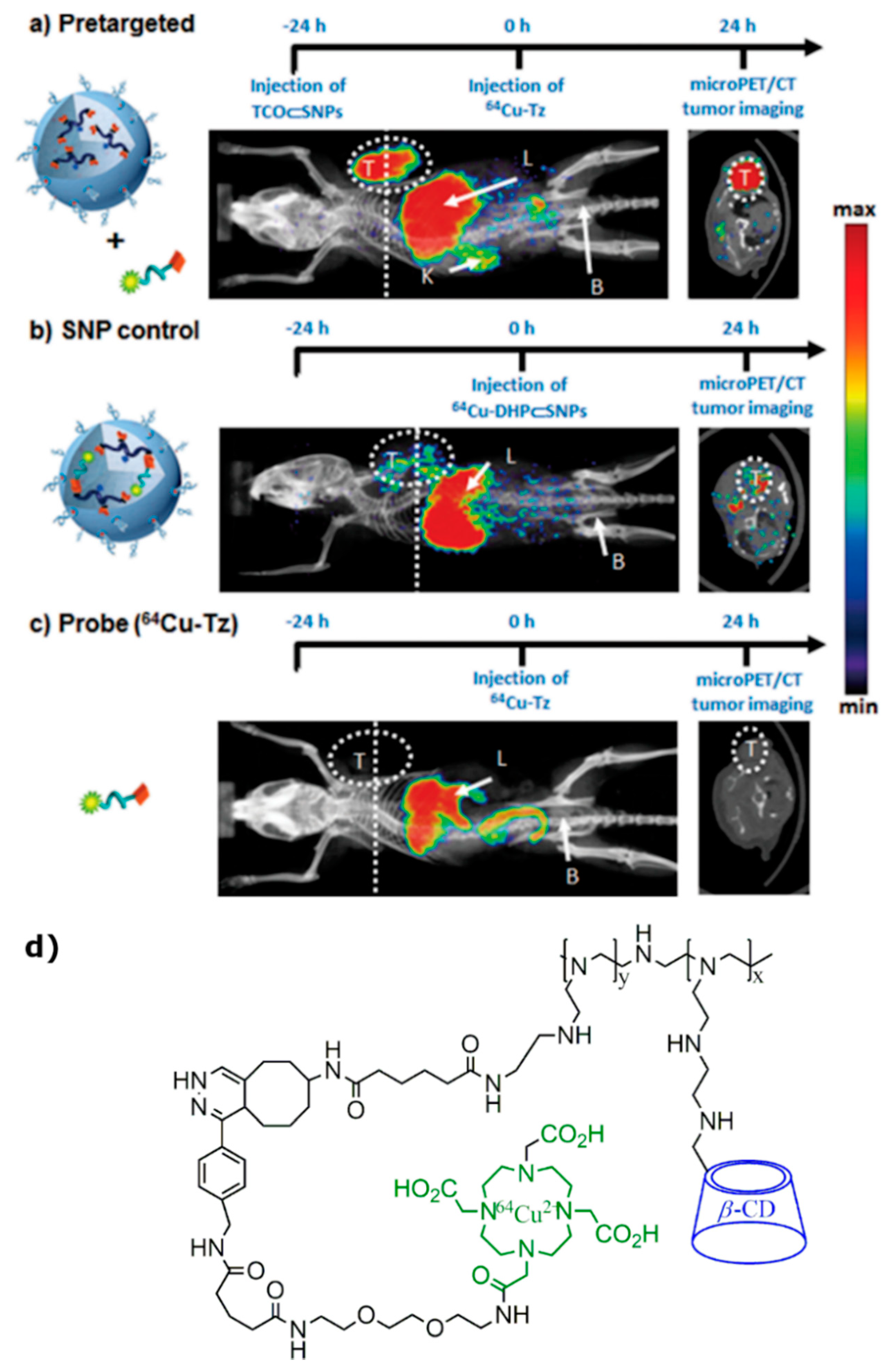 Molecules 25 05576 g010