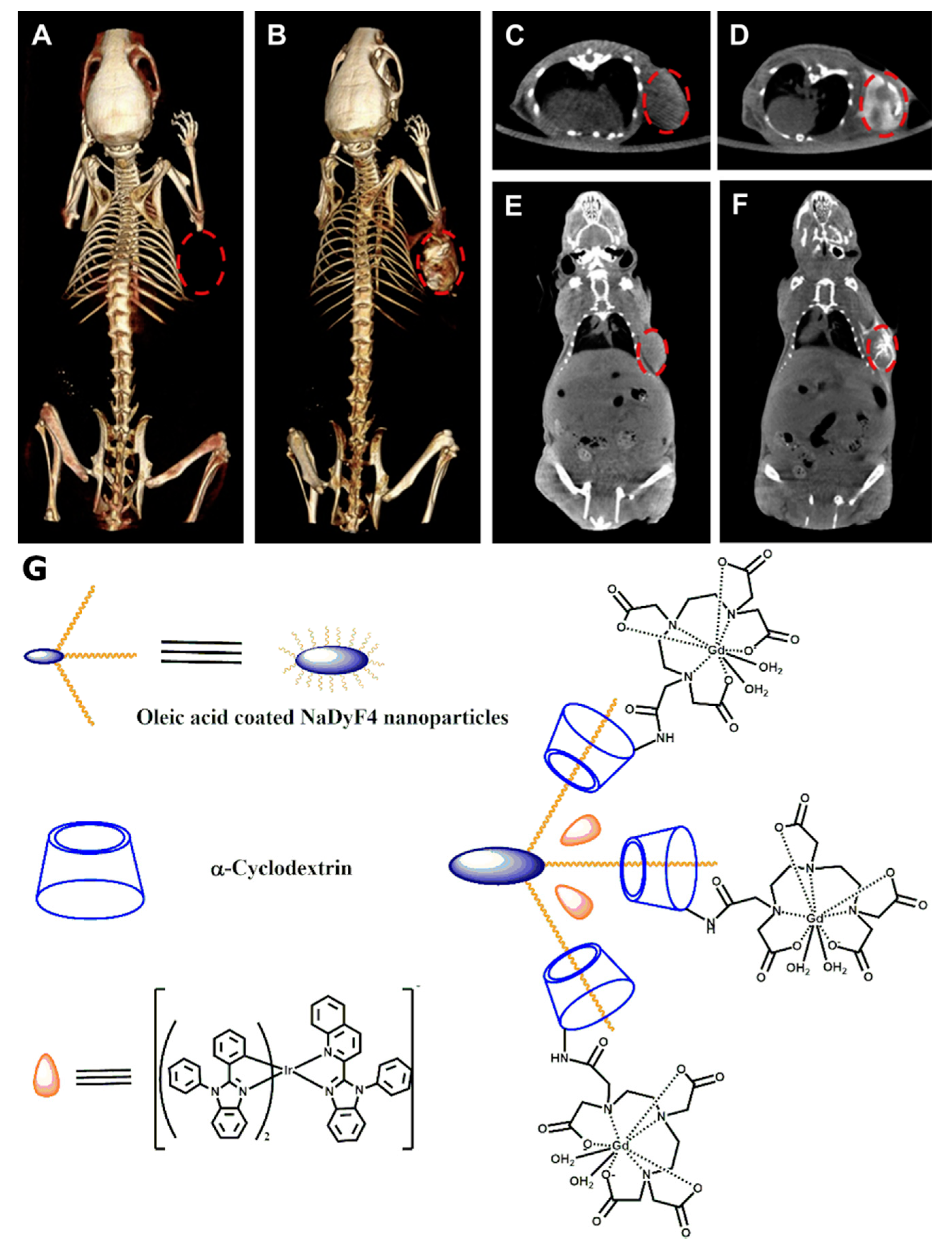 Molecules 25 05576 g011