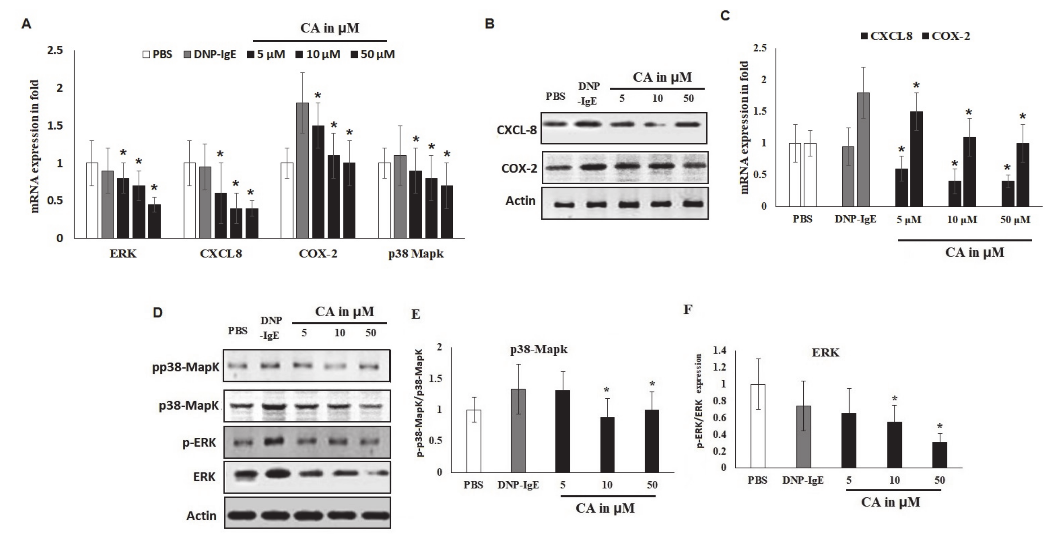 Molecules 25 05580 g005 Molecules 25 05580 g005