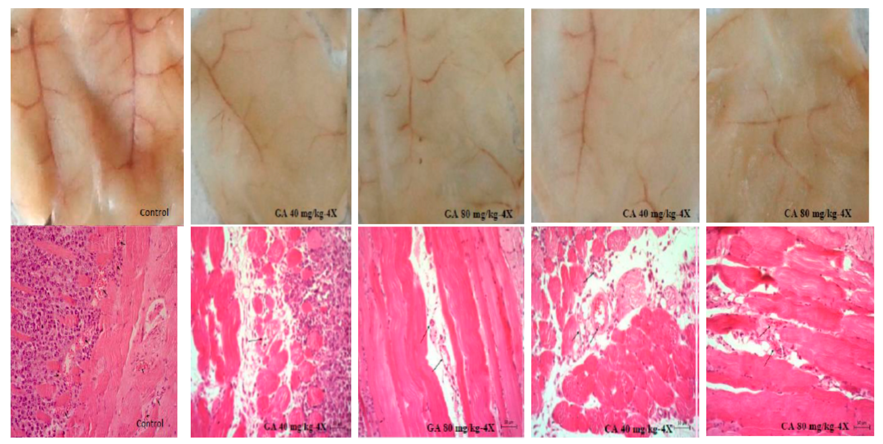 Molecules 25 05583 g003