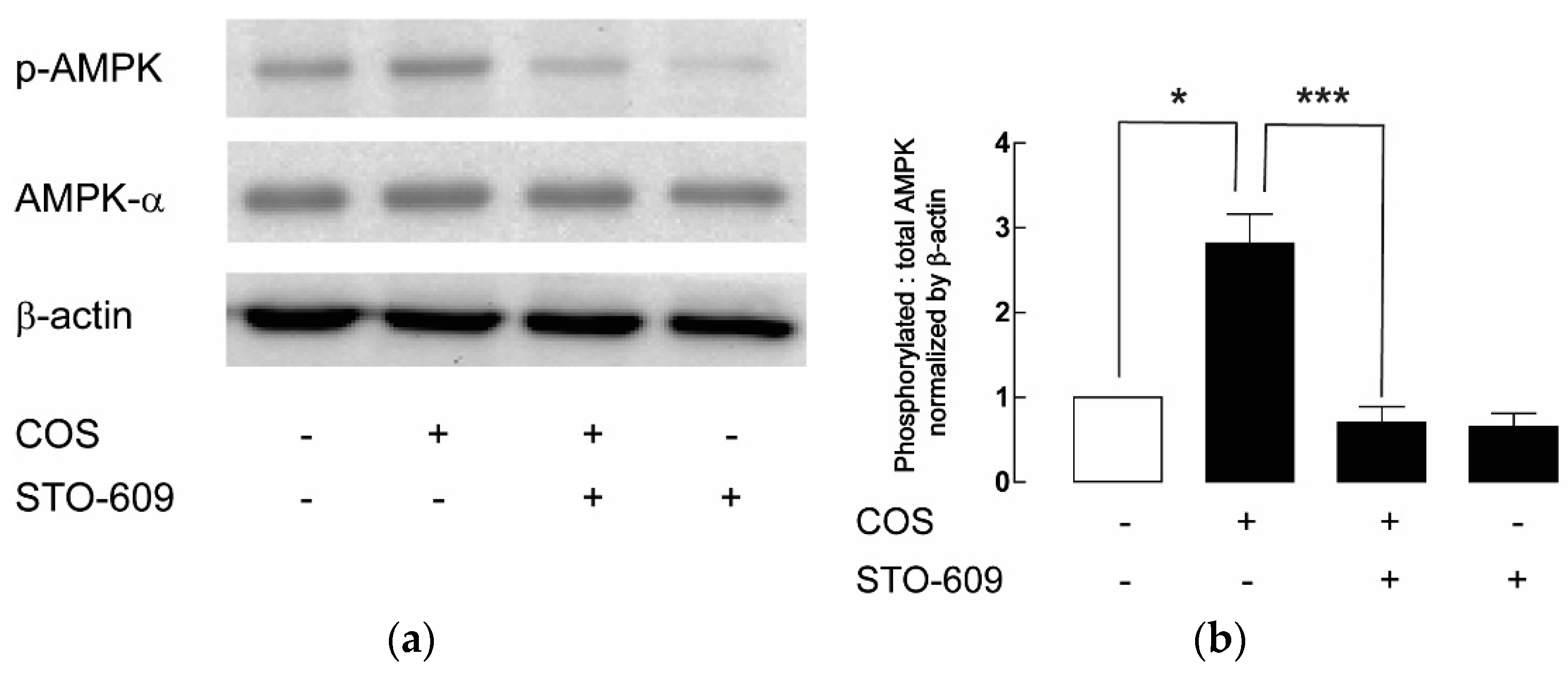 Molecules 25 05589 g004