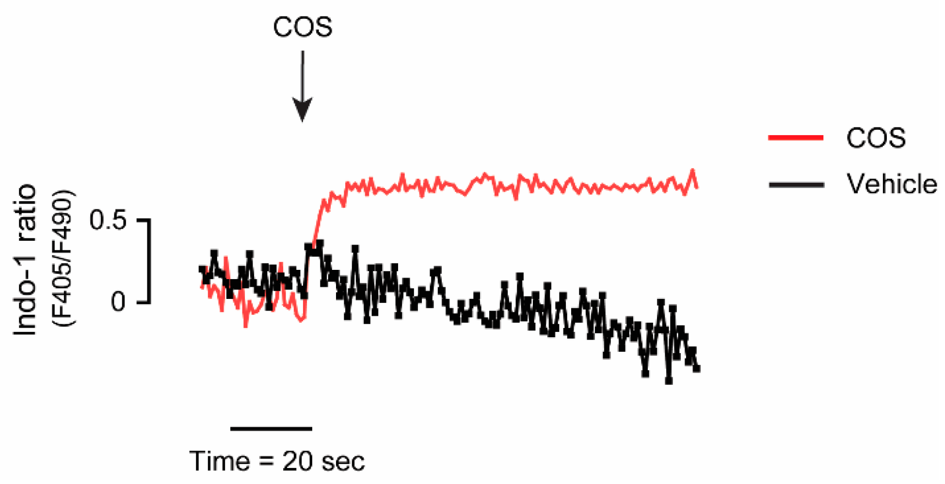 Molecules 25 05589 g005
