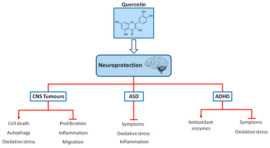 Neuroprotective Effects of Quercetin Neuroprotective Effects of Quercetin