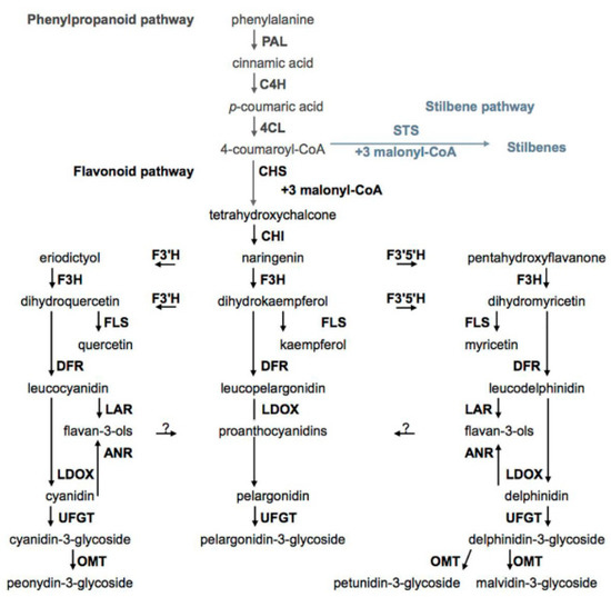 Molecules 25 05604 g007 550