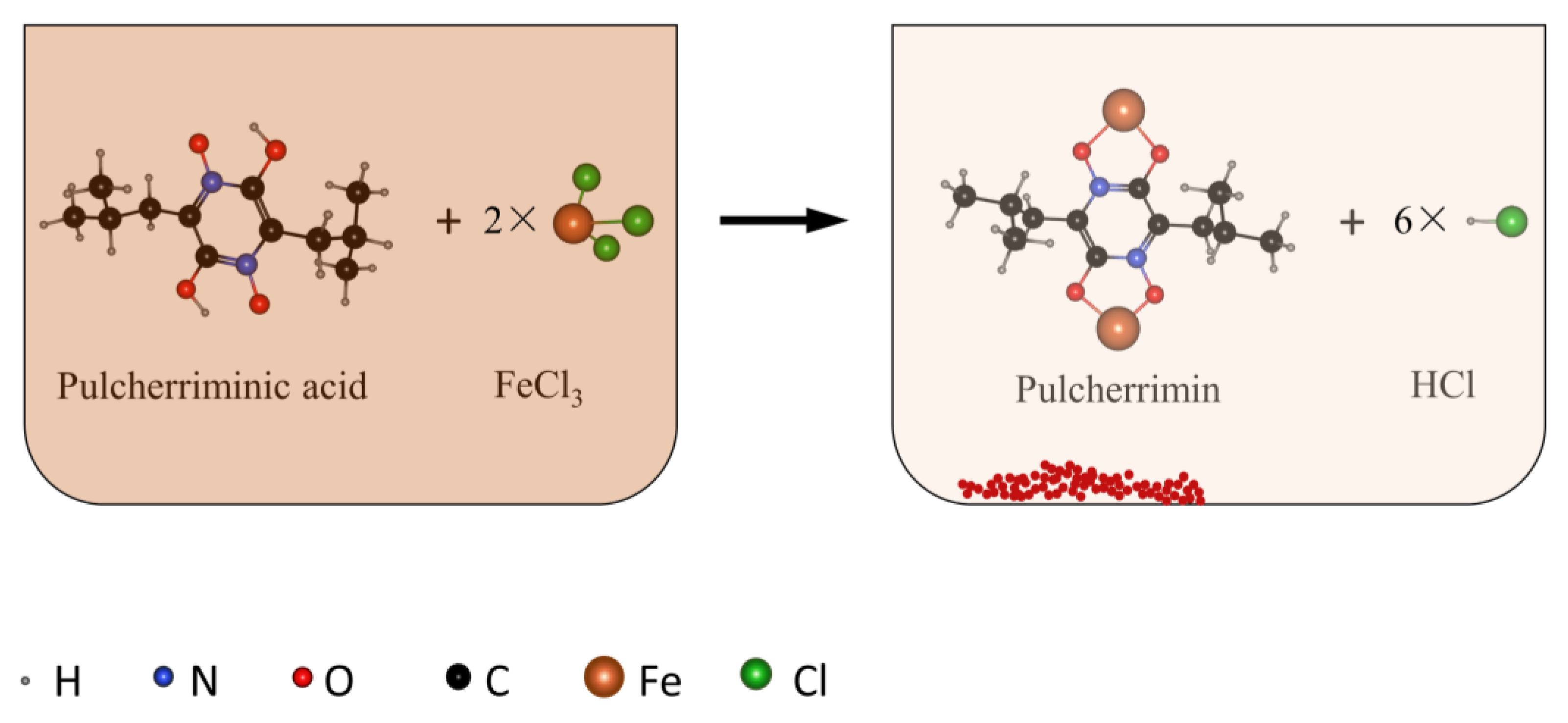 Molecules 25 05611 g001