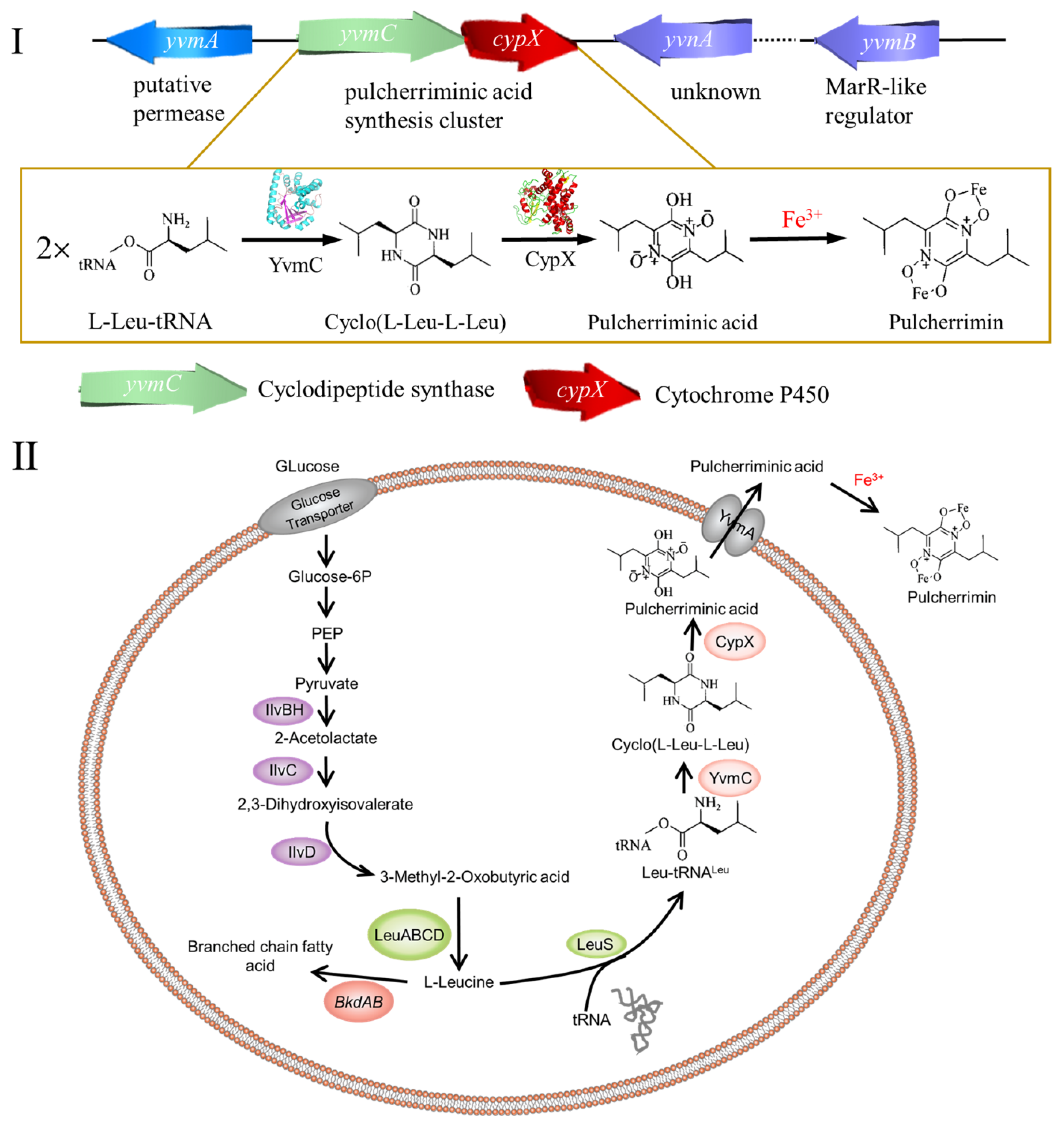 Molecules 25 05611 g002