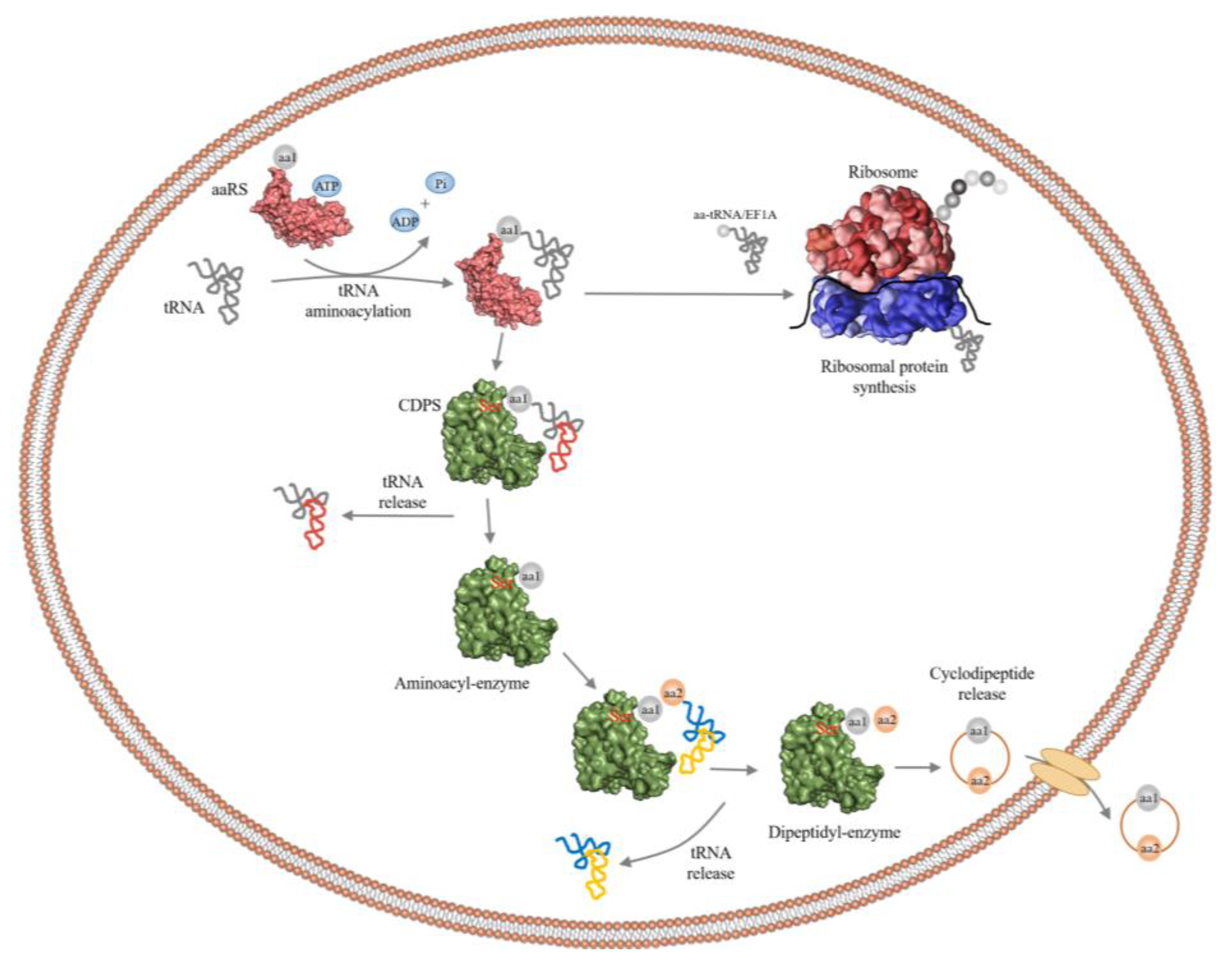 Molecules 25 05611 g004