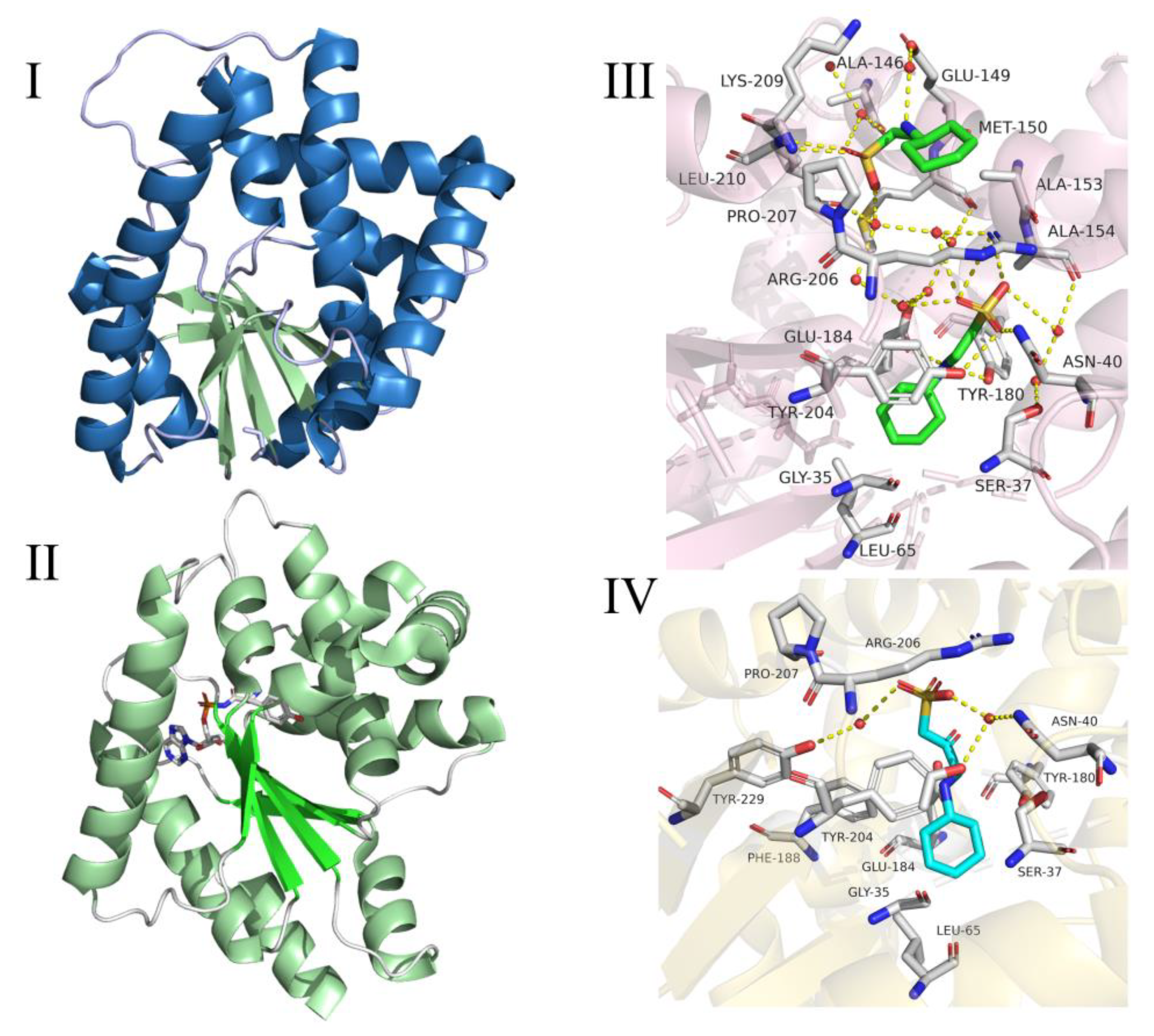 Molecules 25 05611 g005