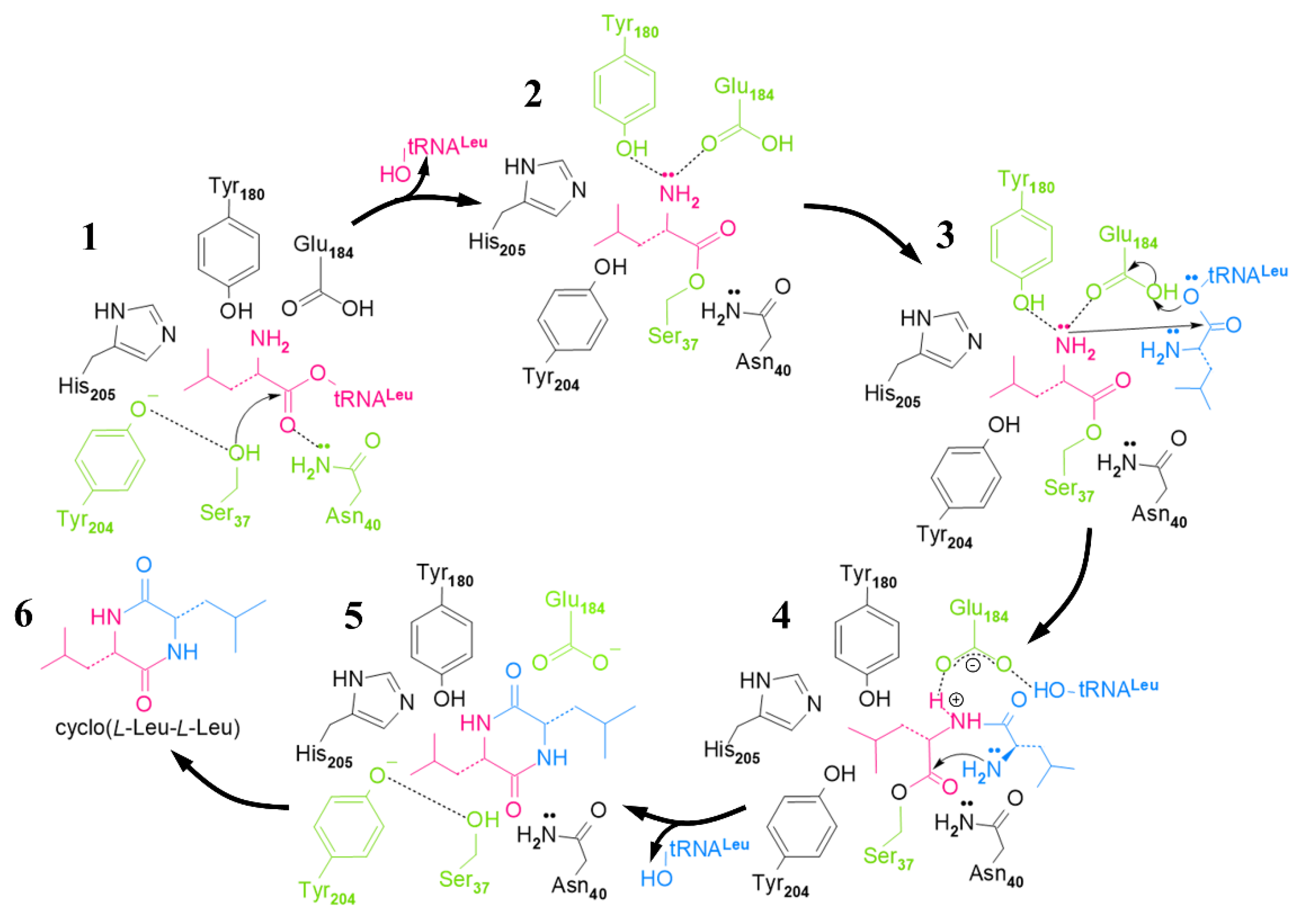 Molecules 25 05611 g006