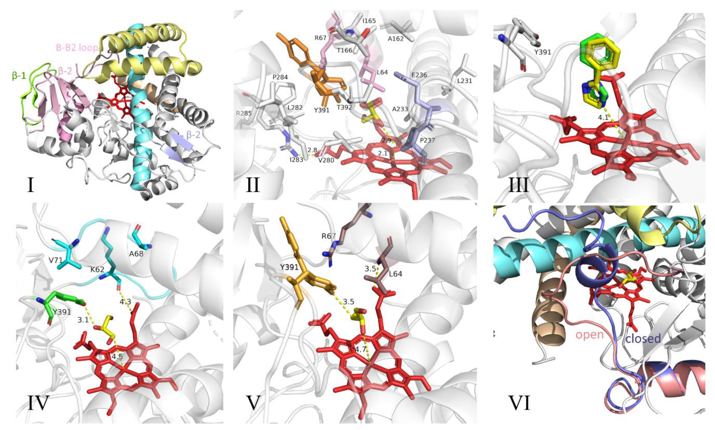 Molecules 25 05611 g007