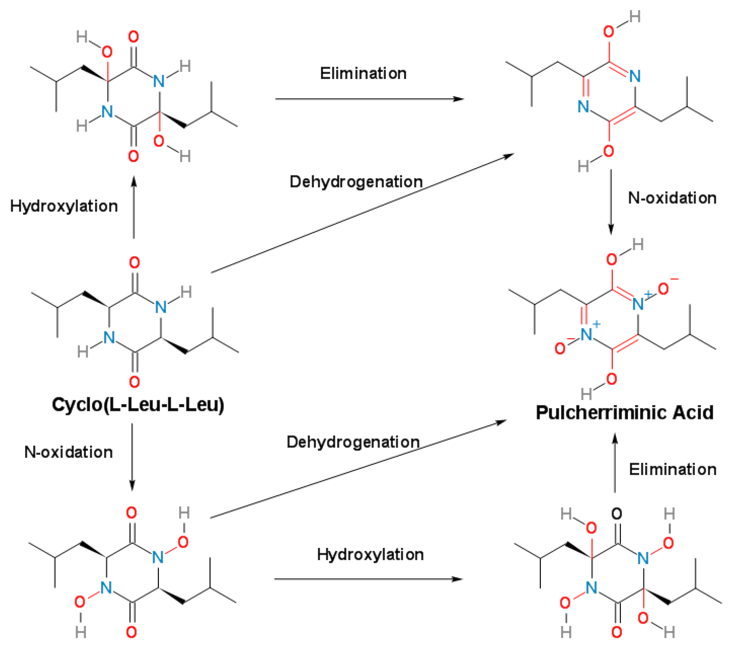 Molecules 25 05611 g008
