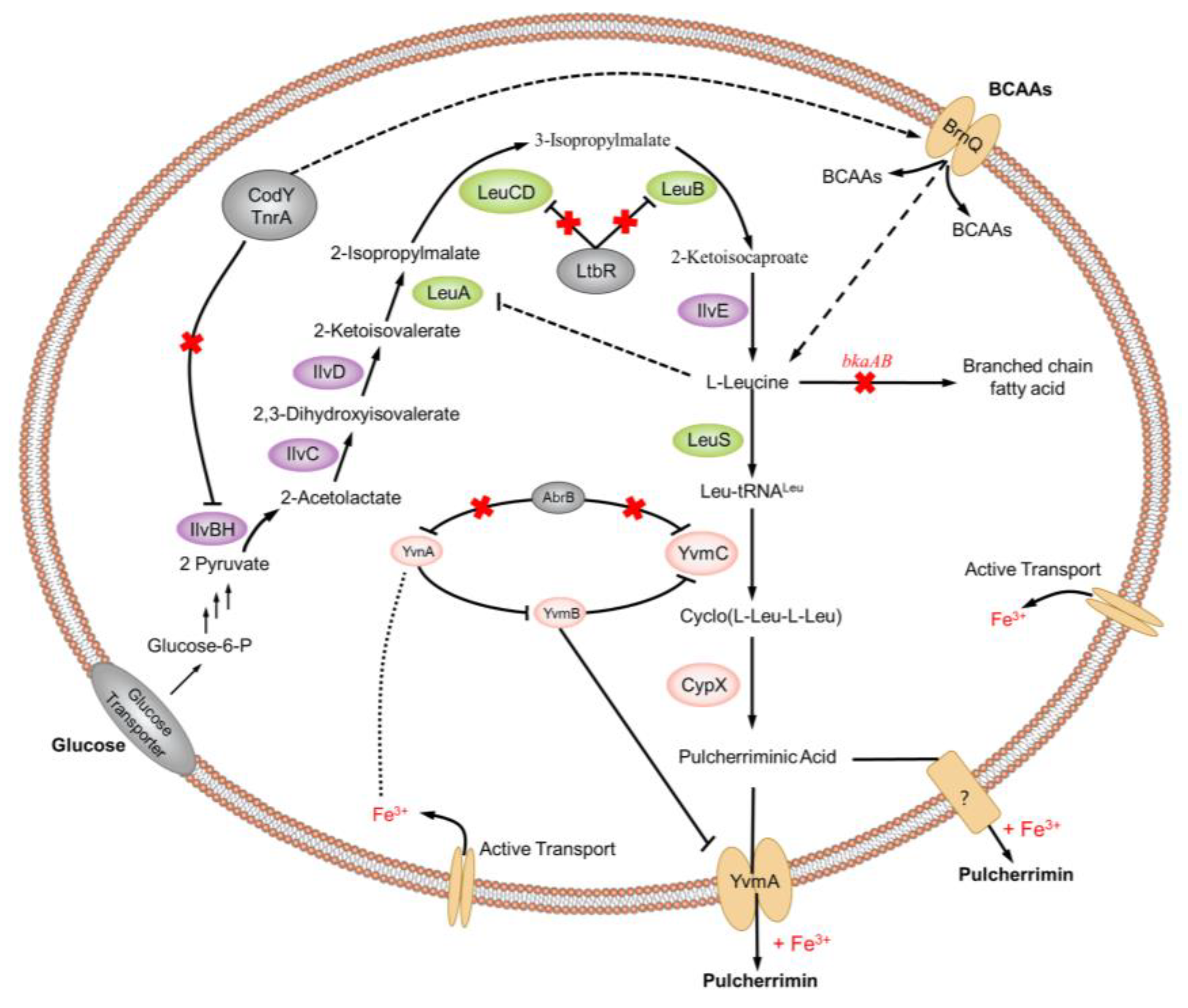 Molecules 25 05611 g009