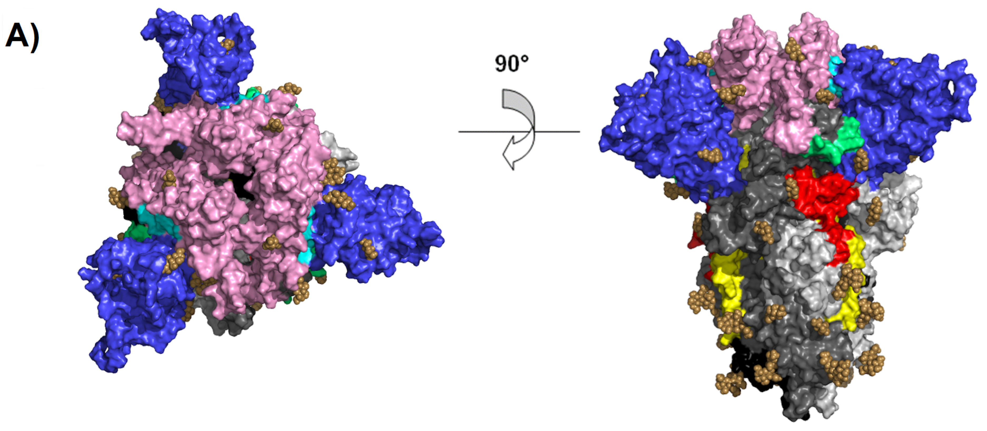 Molecules 25 05615 g002a
