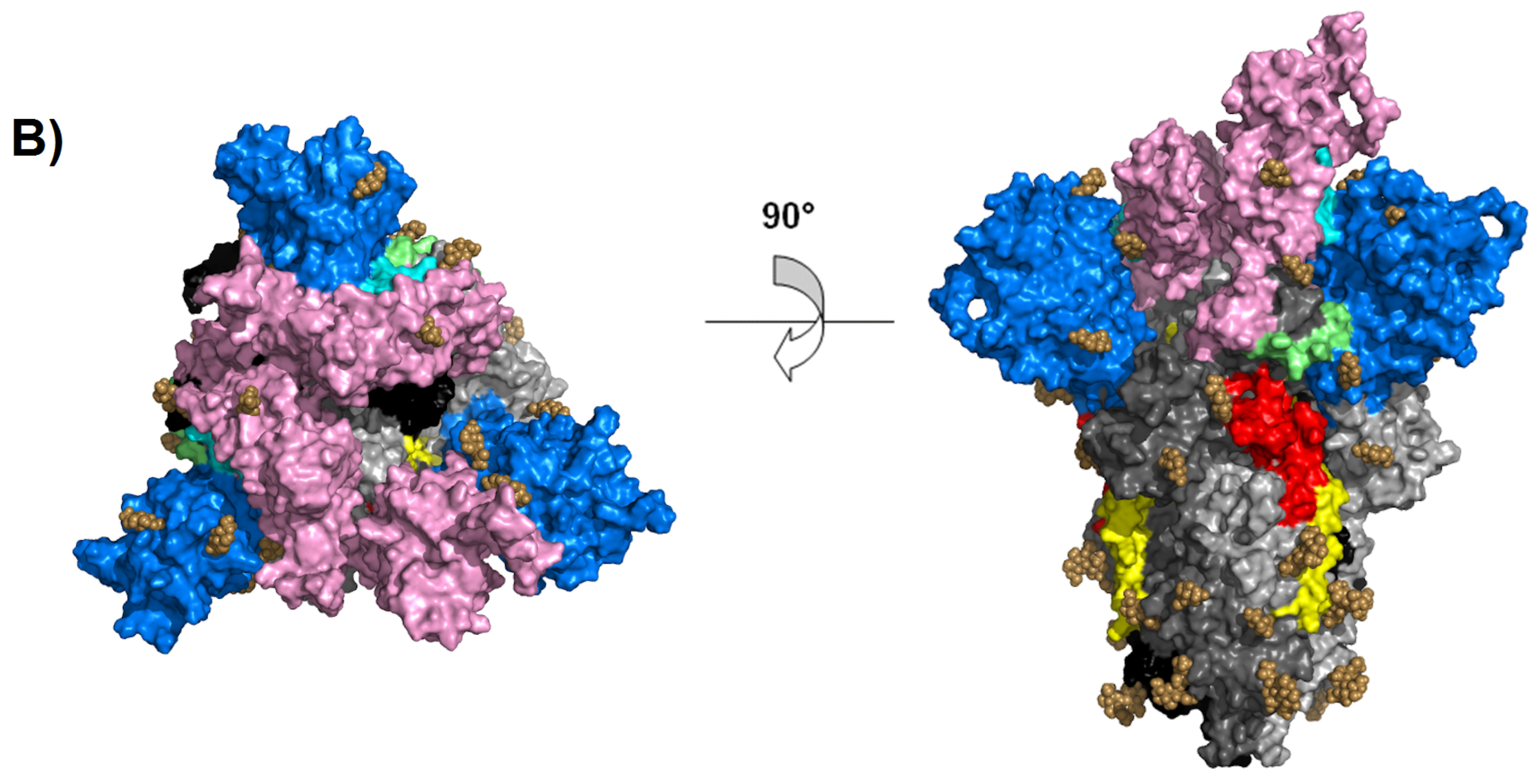 Molecules 25 05615 g002b