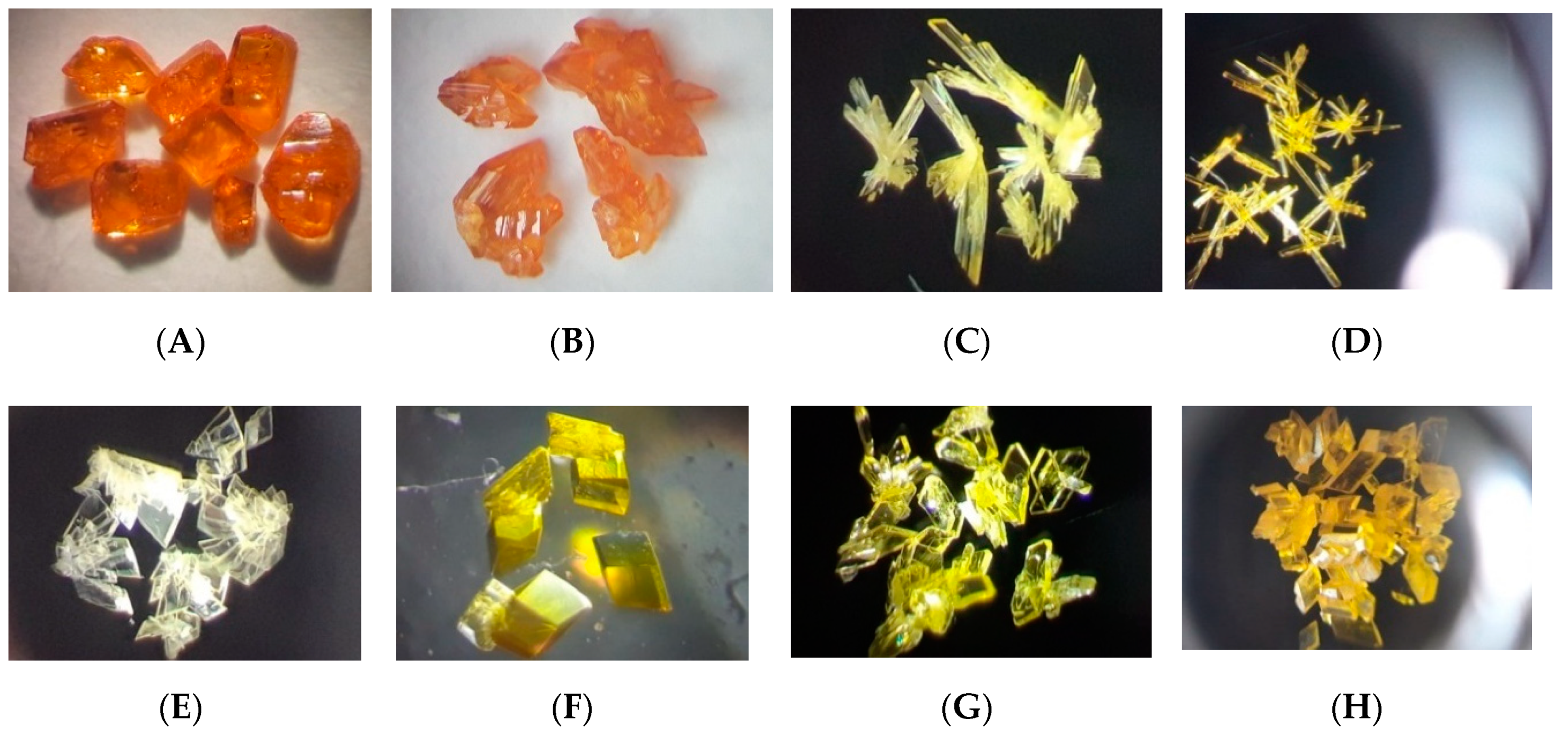 Molecules 25 05616 g001