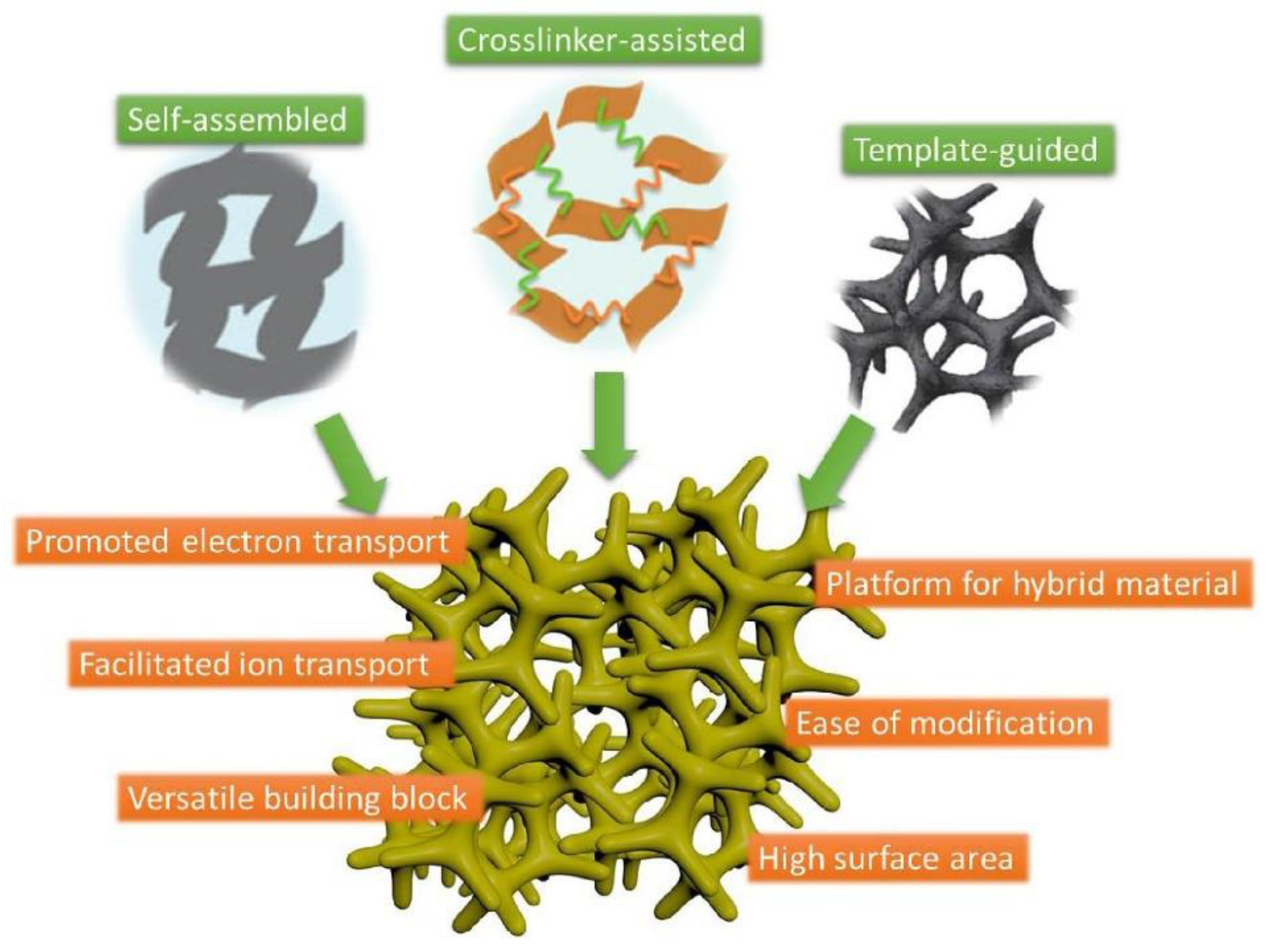 Molecules 25 05620 g001