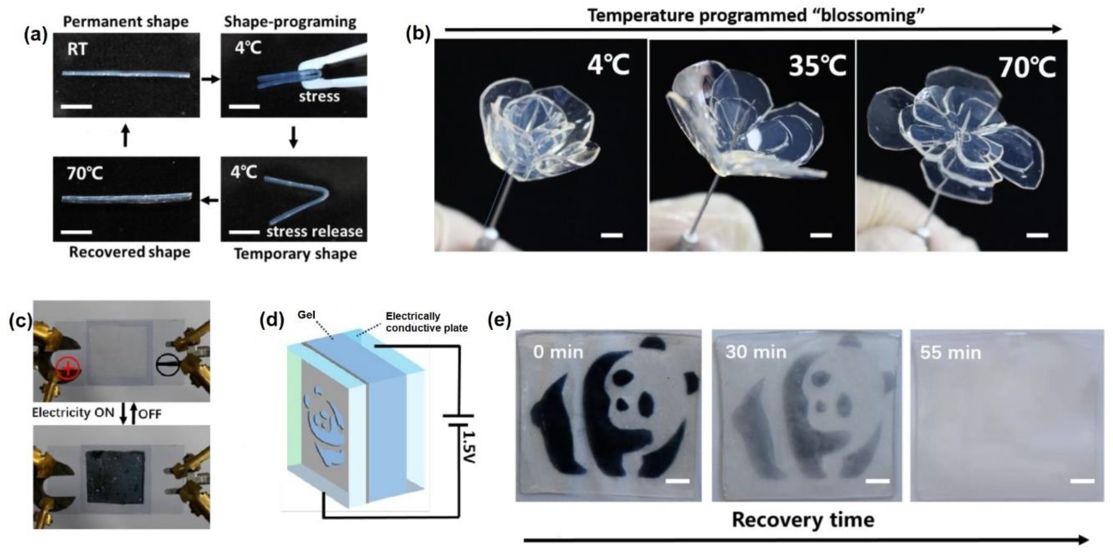 Molecules 25 05620 g002