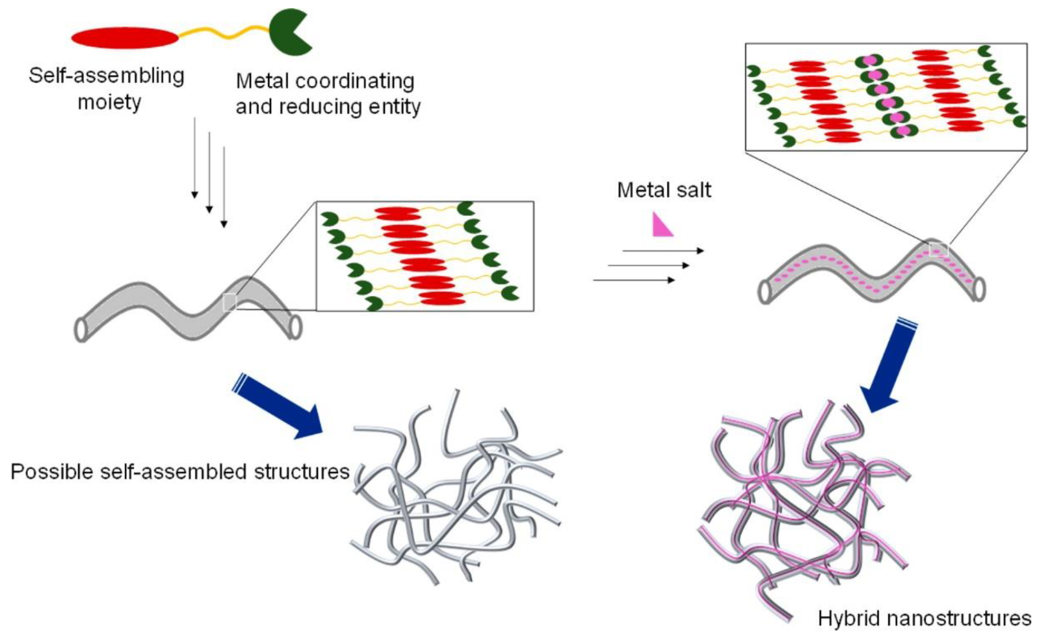 Molecules 25 05620 g003