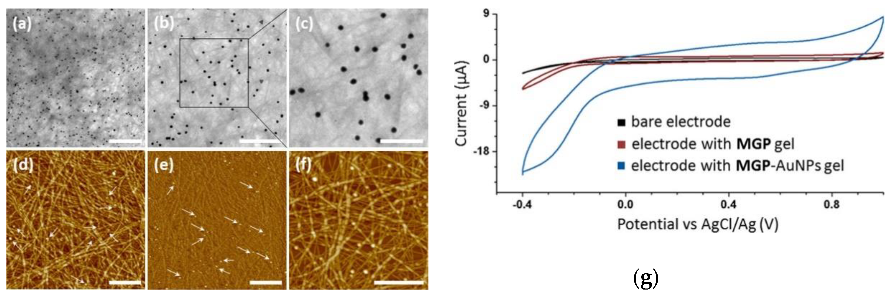 Molecules 25 05620 g004