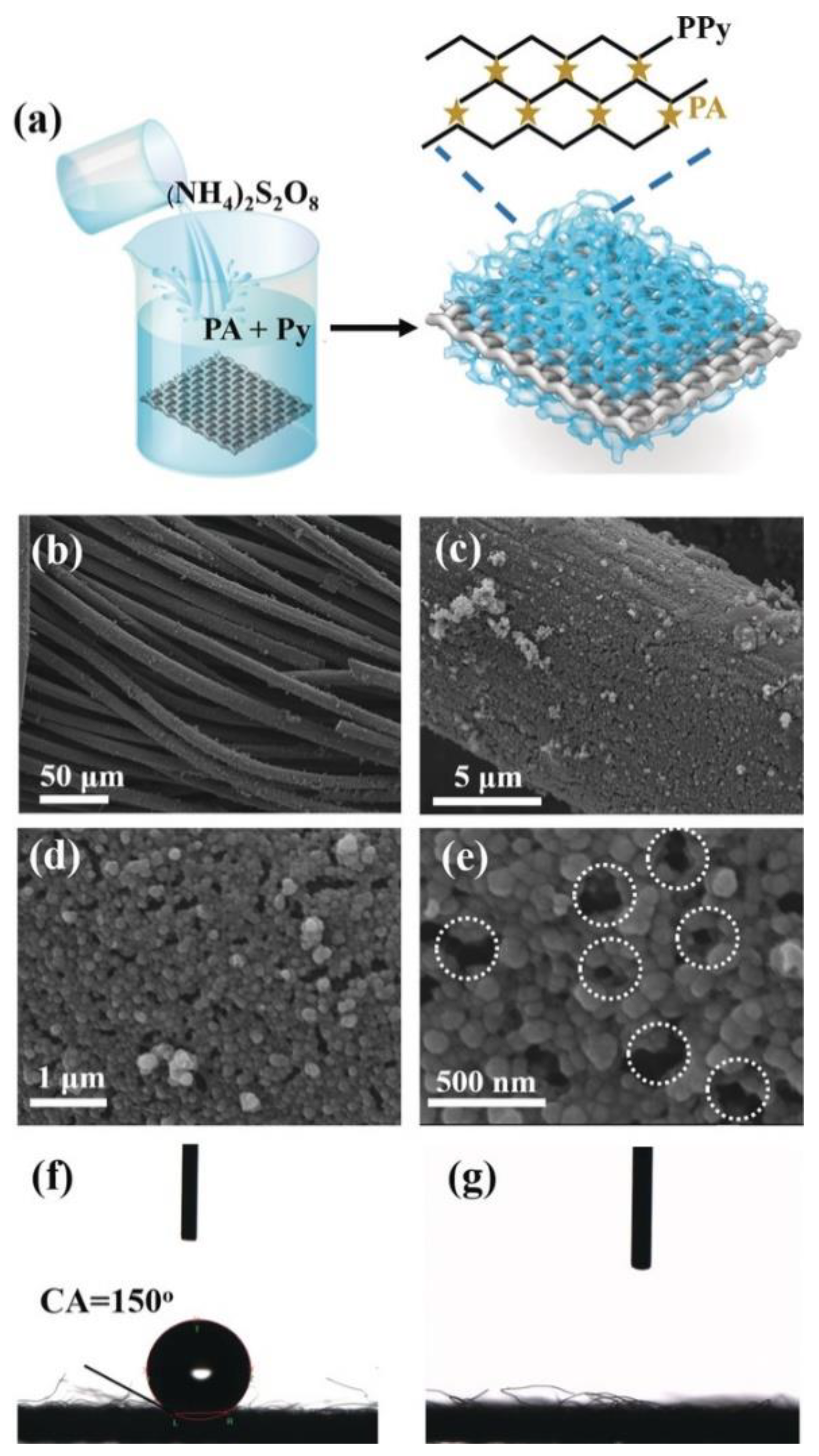Molecules 25 05620 g005