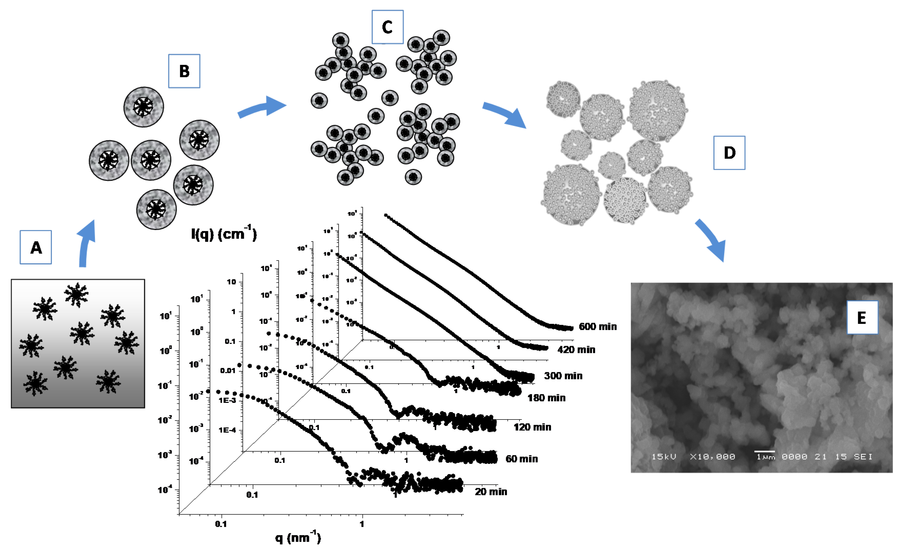 Molecules Free Full Text Structural Characterization Of Biomaterials By Means Of Small Angle X Rays And Neutron Scattering Saxs And Sans And Light Scattering Experiments Html
