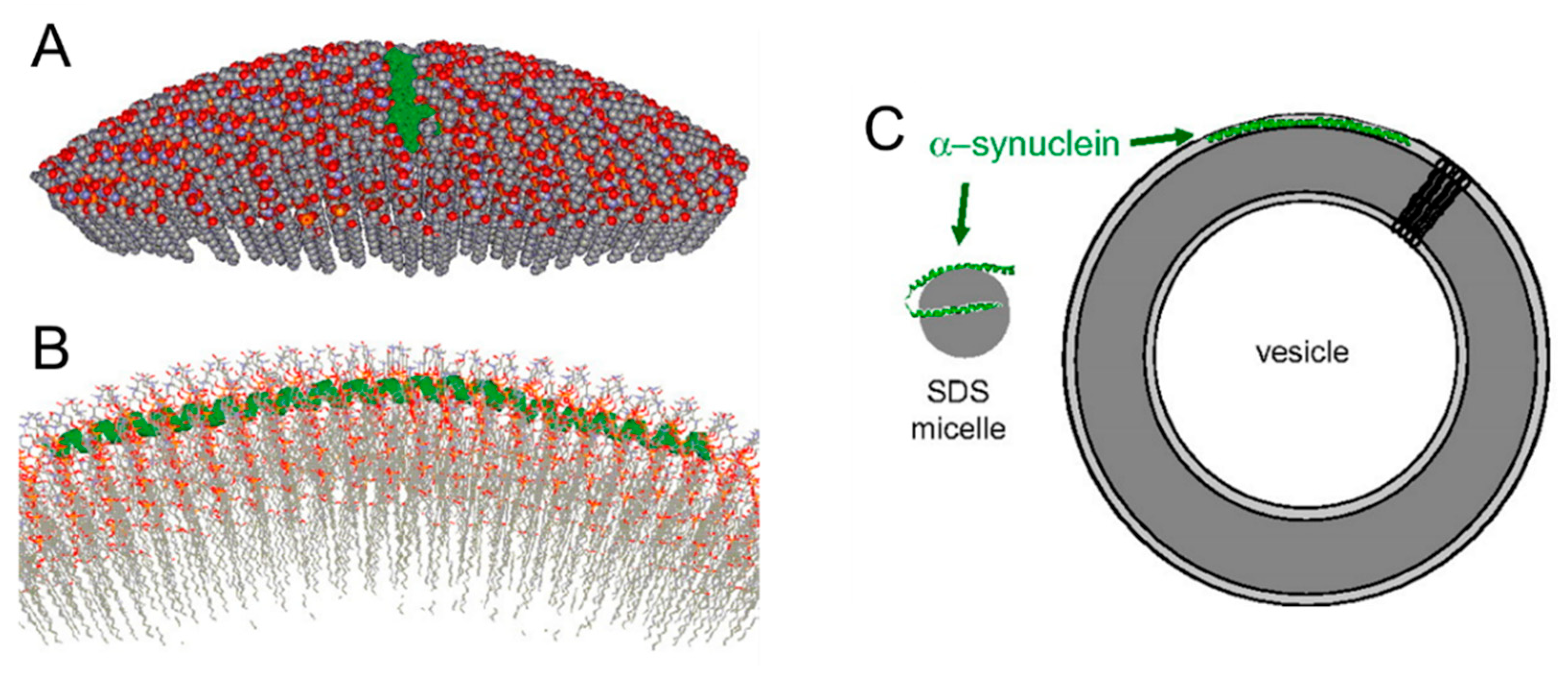 Molecules 25 05625 g002