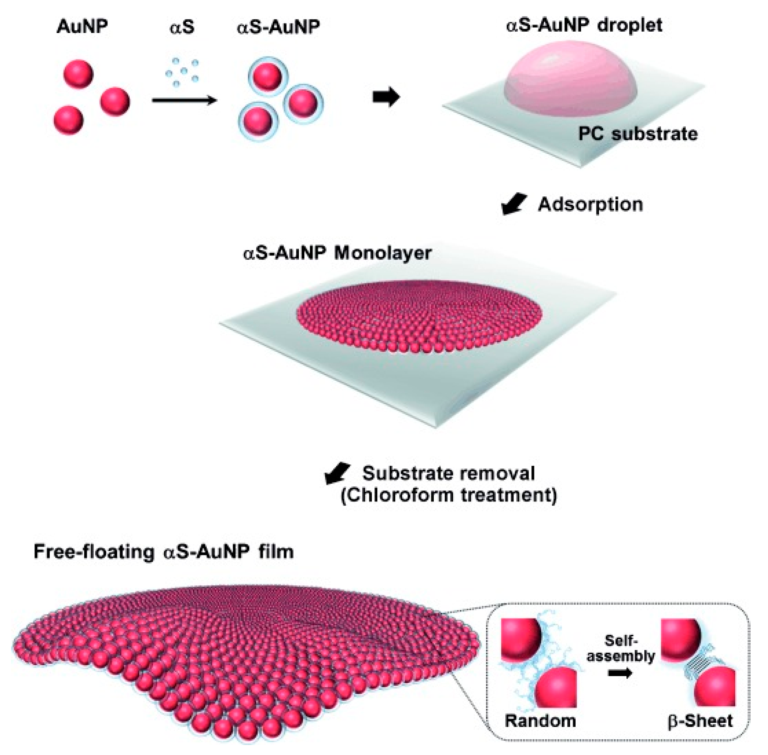 Molecules 25 05625 g004