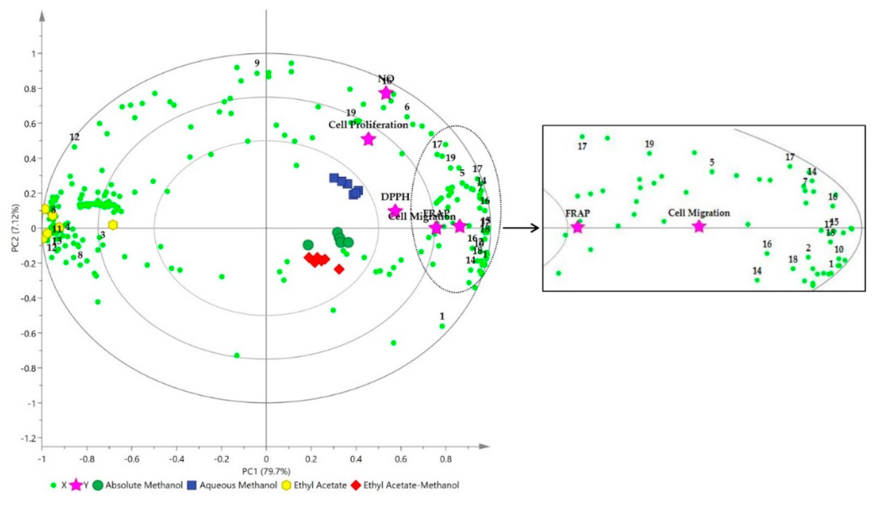 Molecules 25 05636 g005 Molecules 25 05636 g005