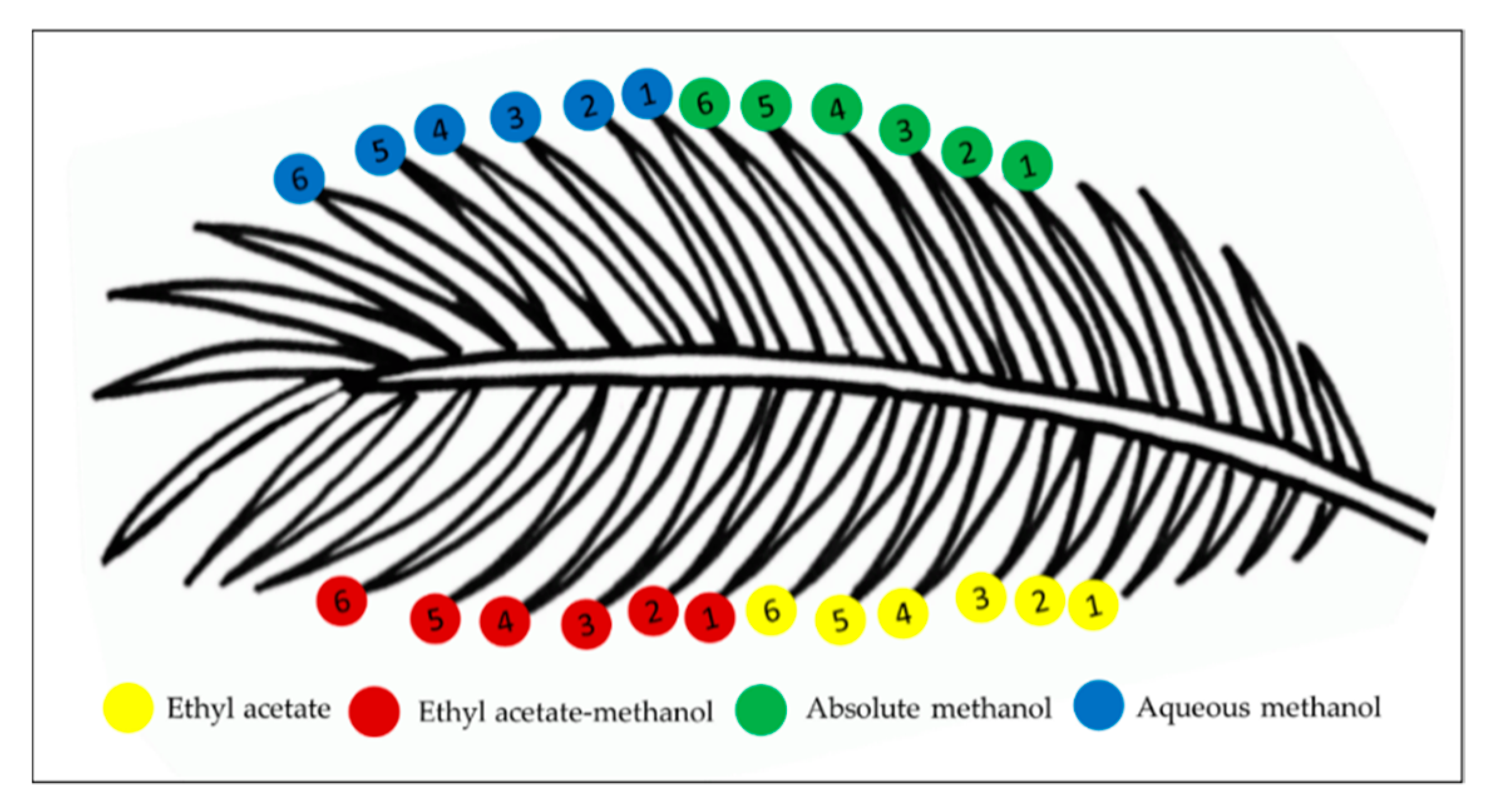 Molecules 25 05636 g007 Molecules 25 05636 g007