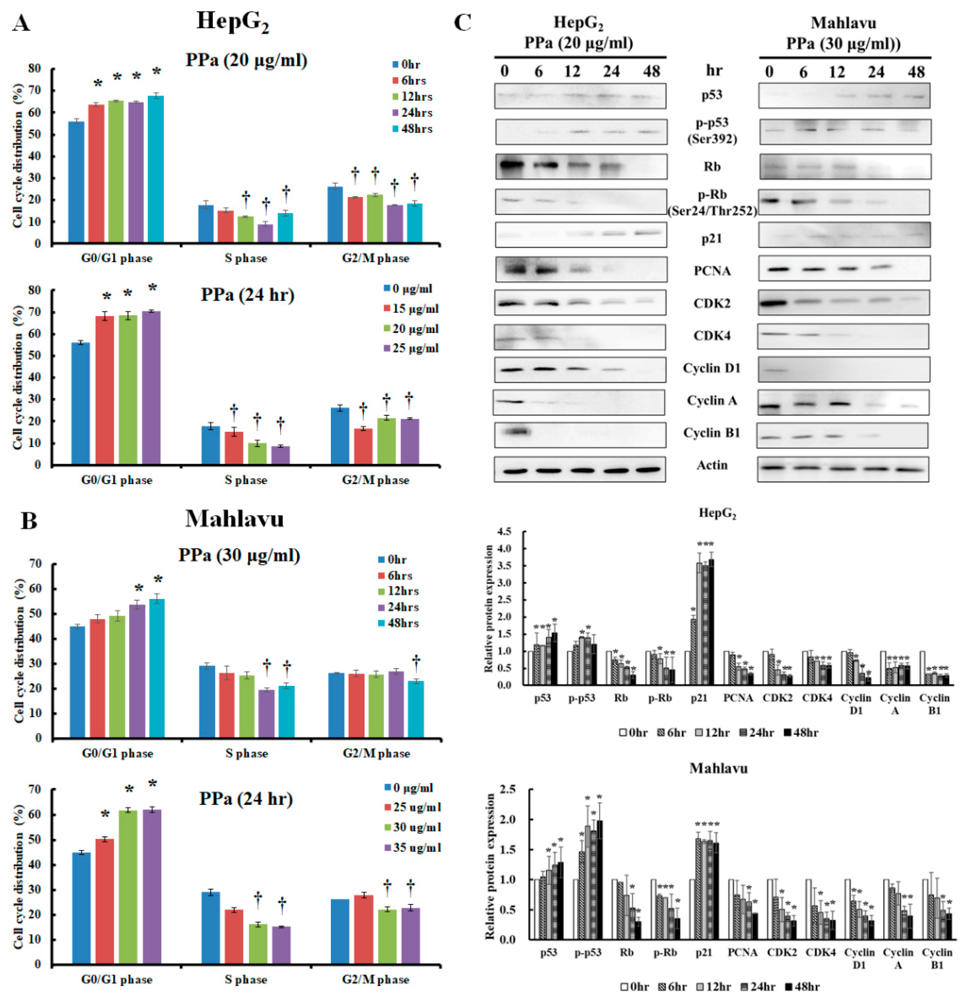 Molecules 25 05639 g002