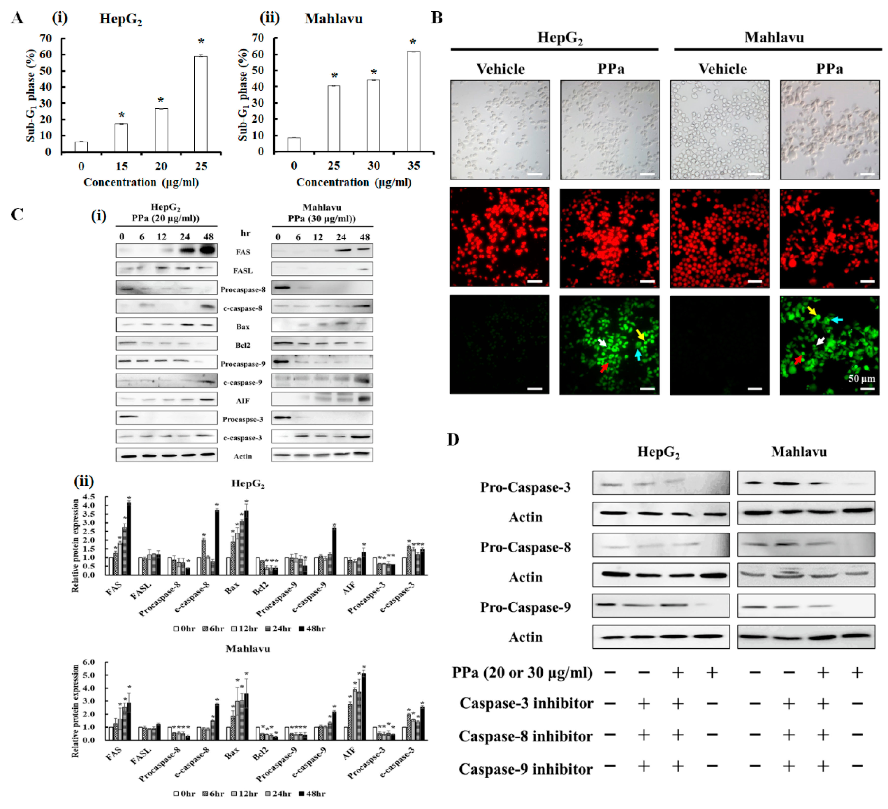 Molecules 25 05639 g005