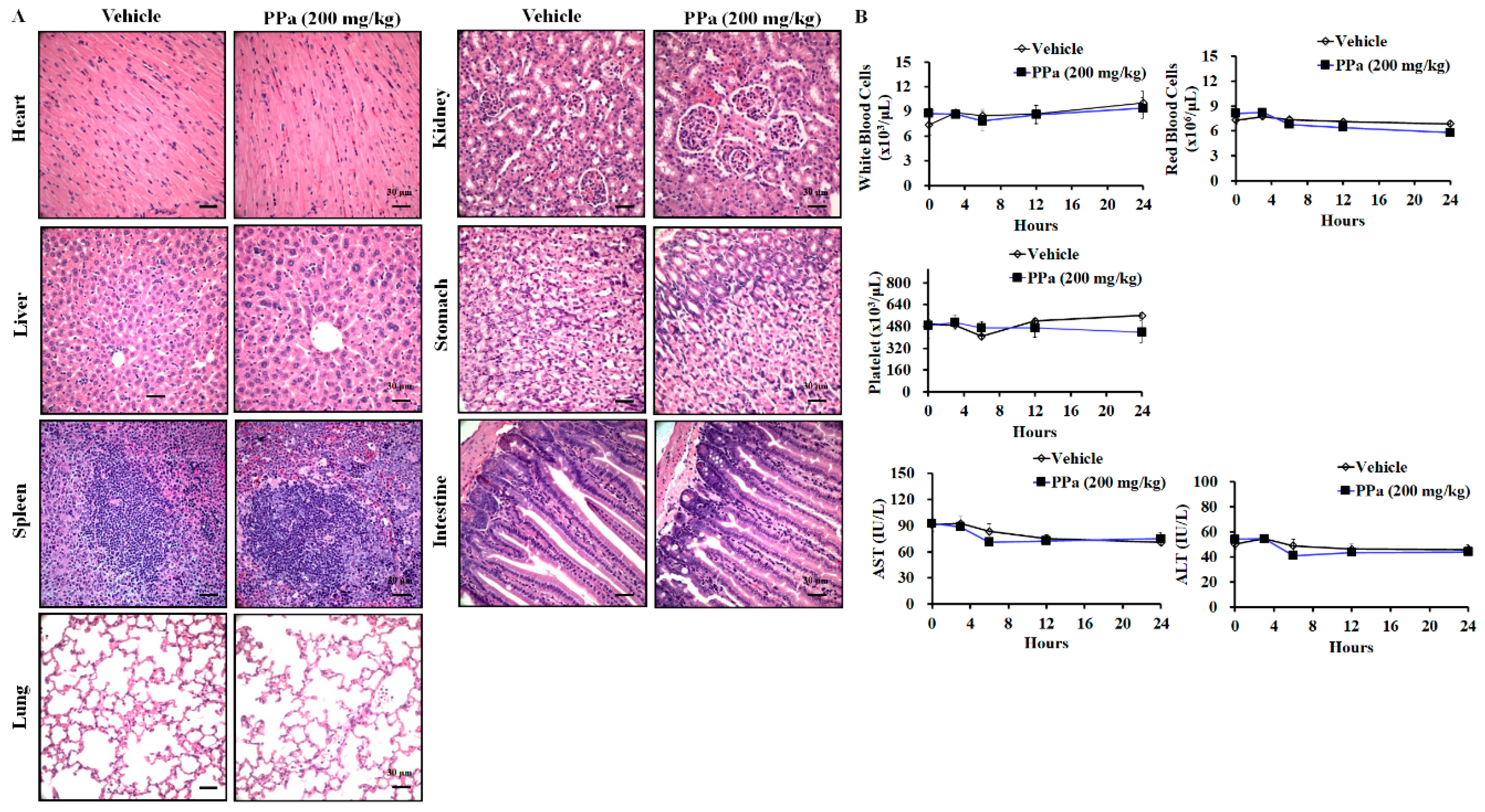 Molecules 25 05639 g009