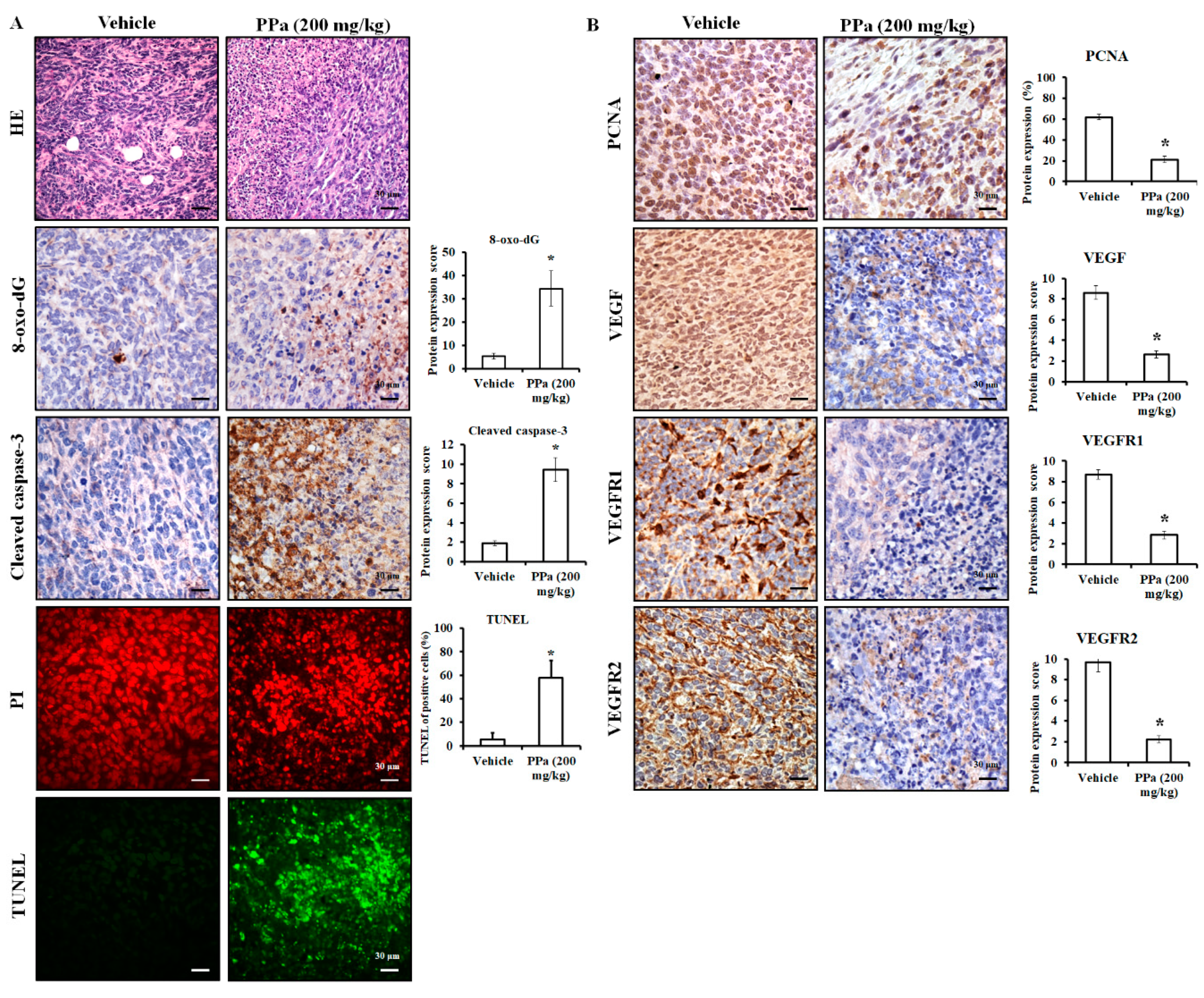 Molecules 25 05639 g010