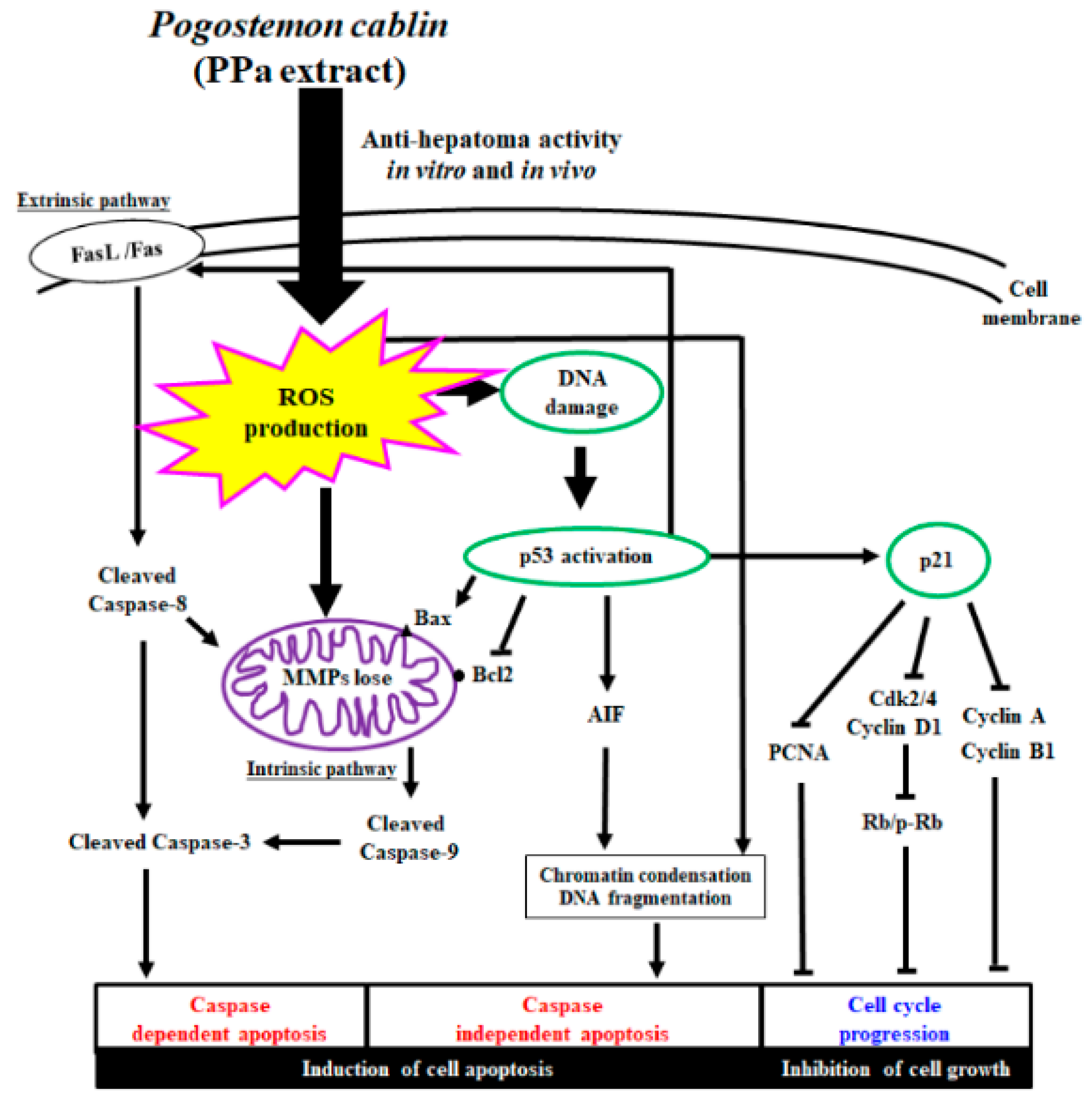 Molecules 25 05639 g012