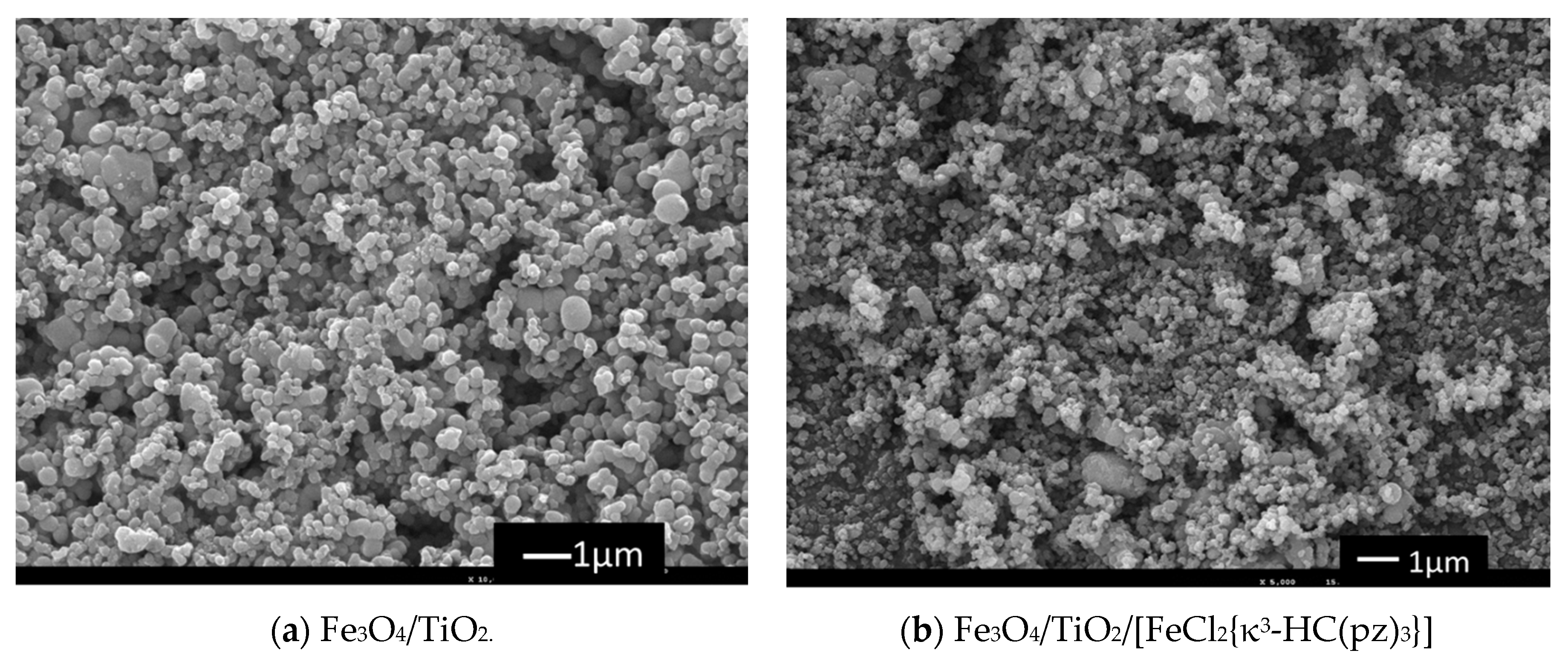 Molecules 25 05642 g003 Molecules 25 05642 g003