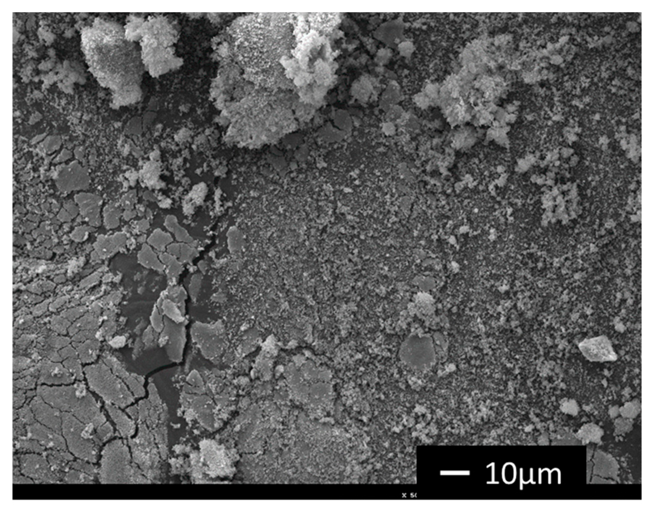 Molecules 25 05642 g010 Molecules 25 05642 g010