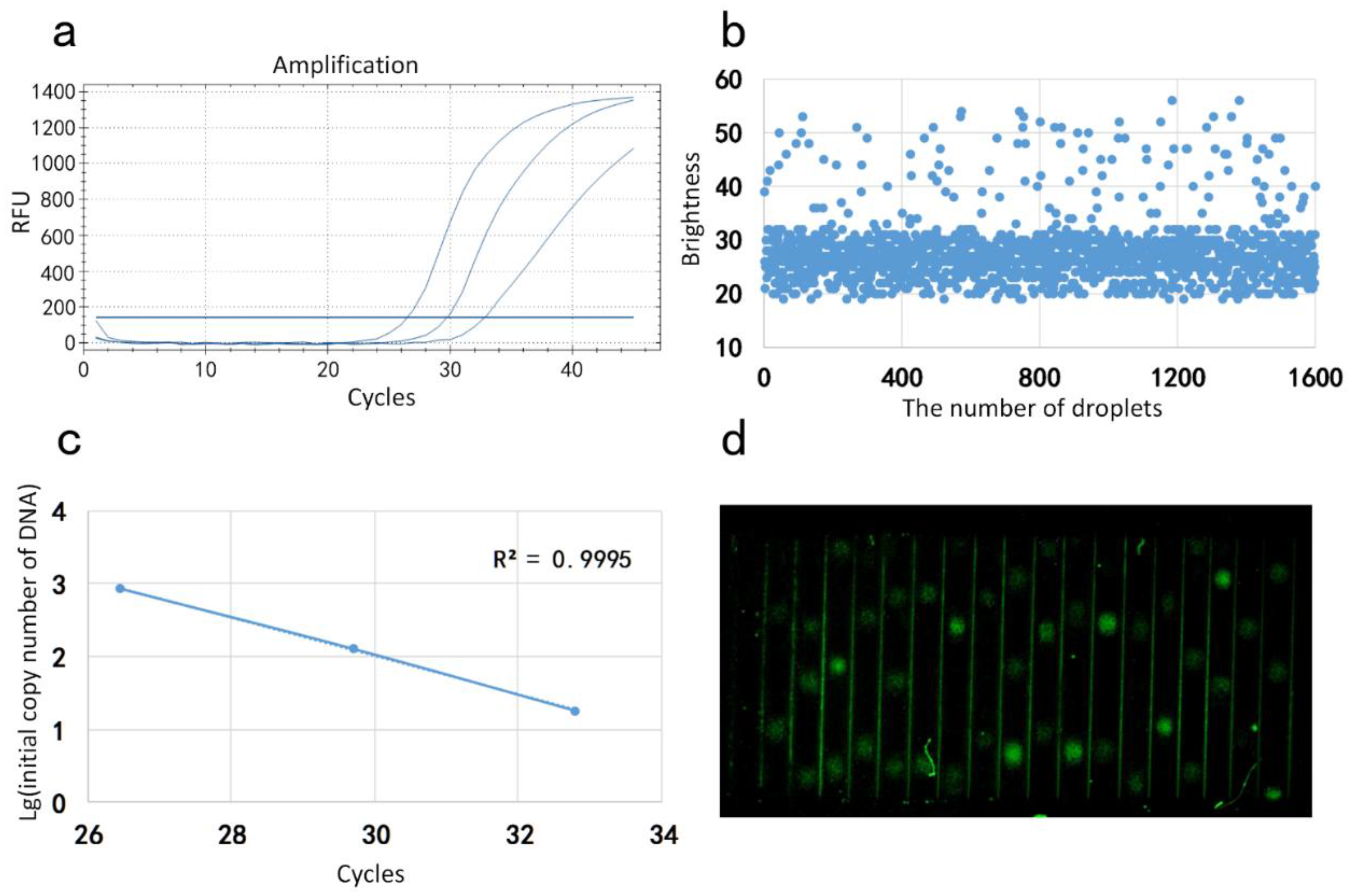 Molecules 25 05646 g003 Molecules 25 05646 g003