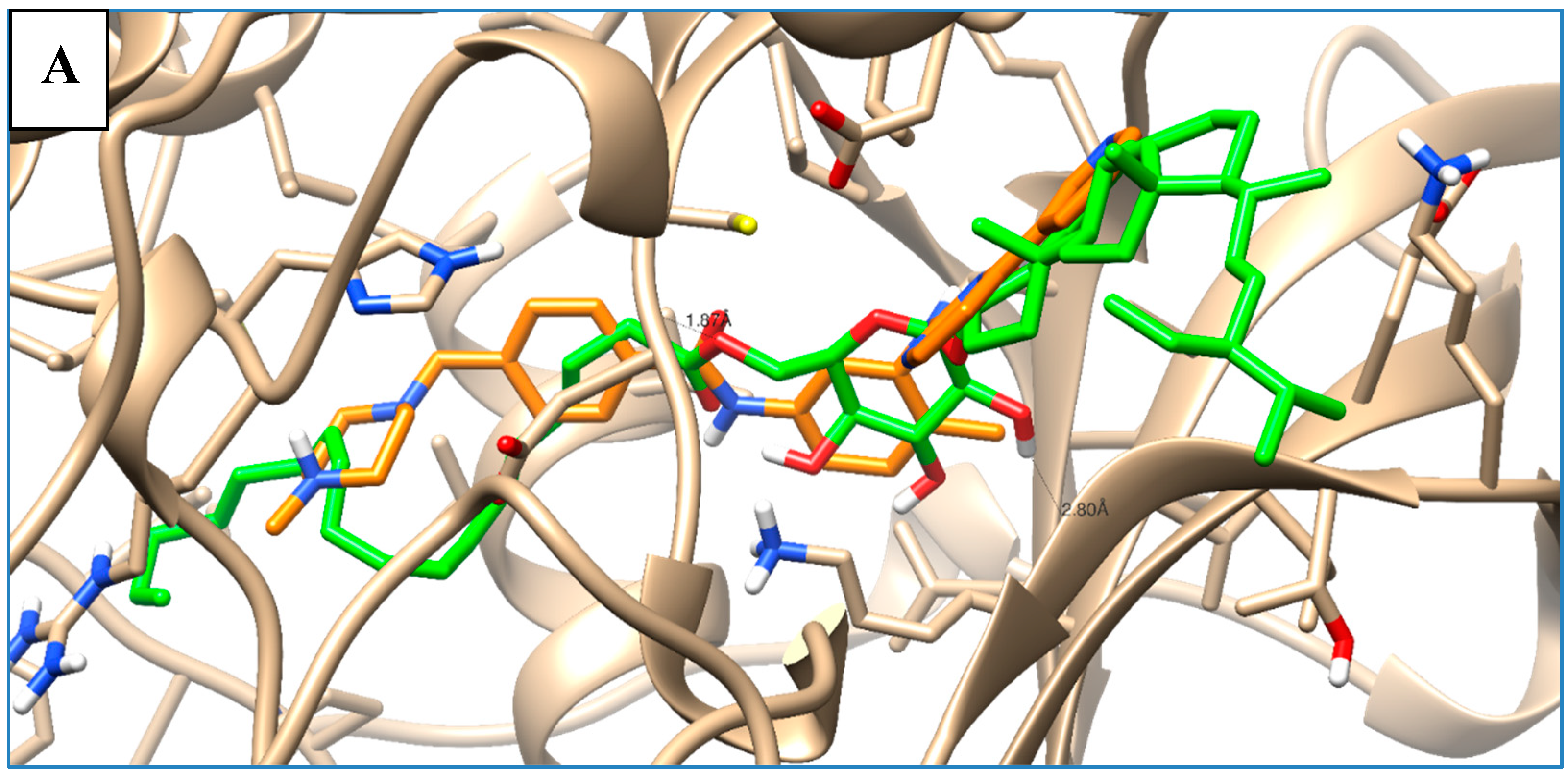 Molecules 25 05650 g007a
