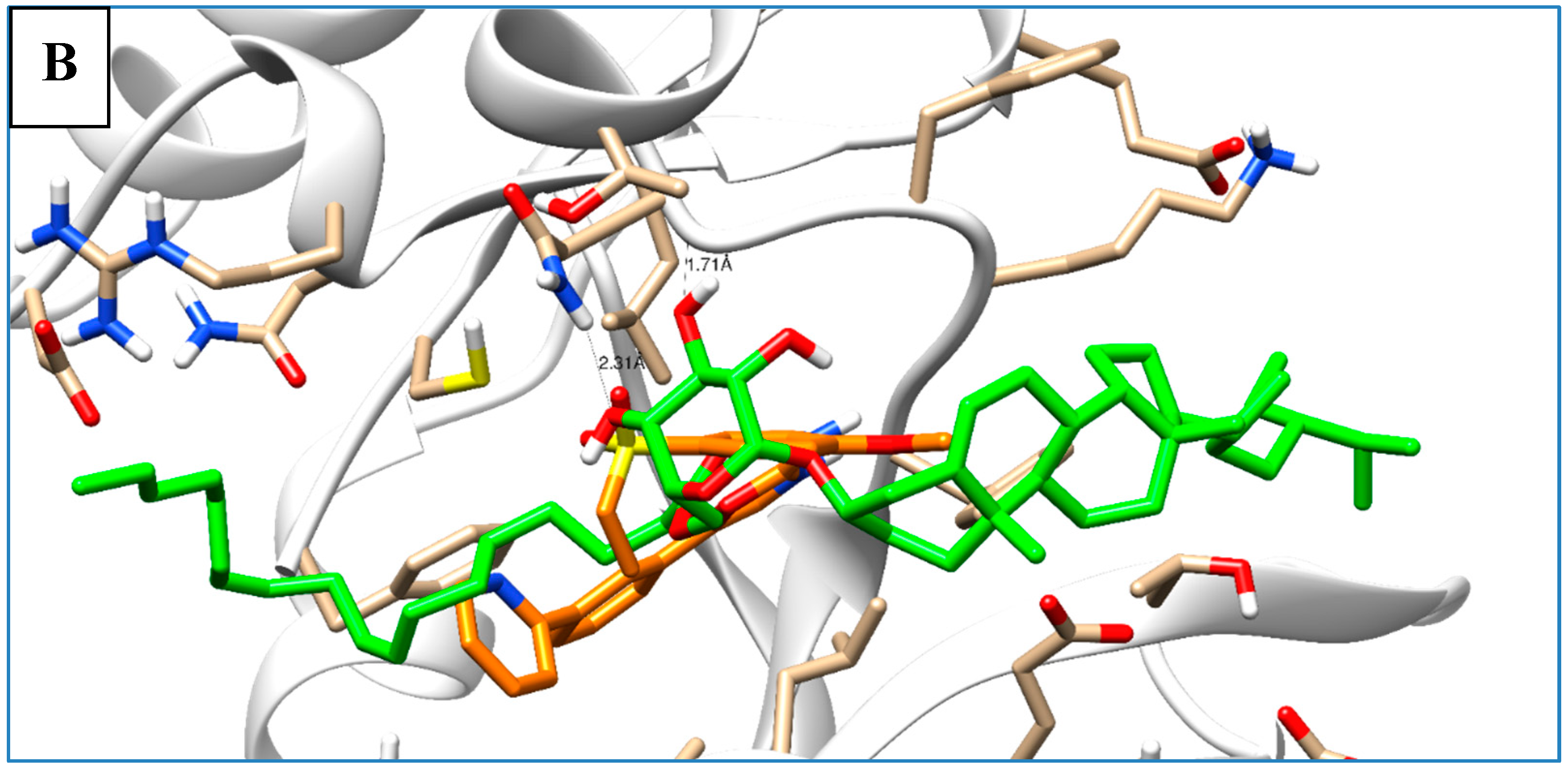 Molecules 25 05650 g007b