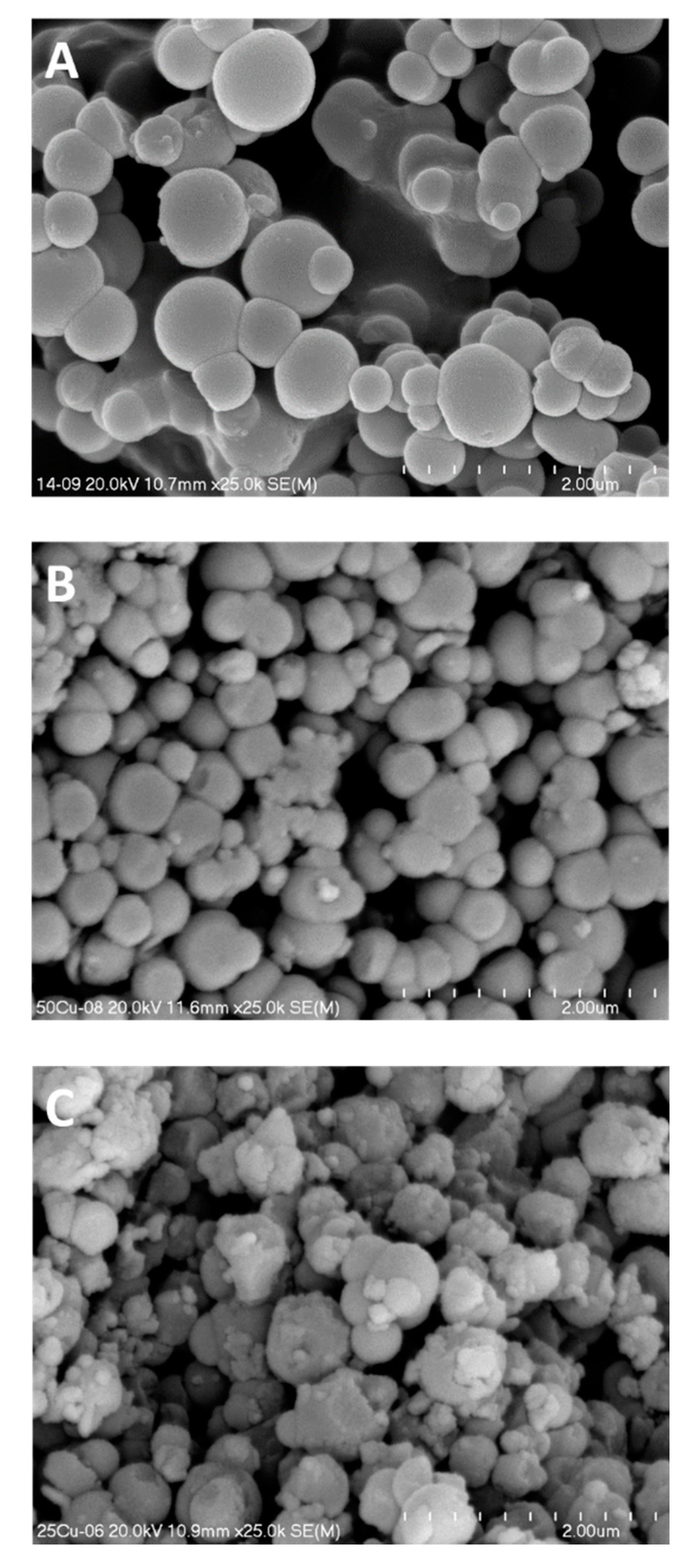 Molecules 25 05651 g004