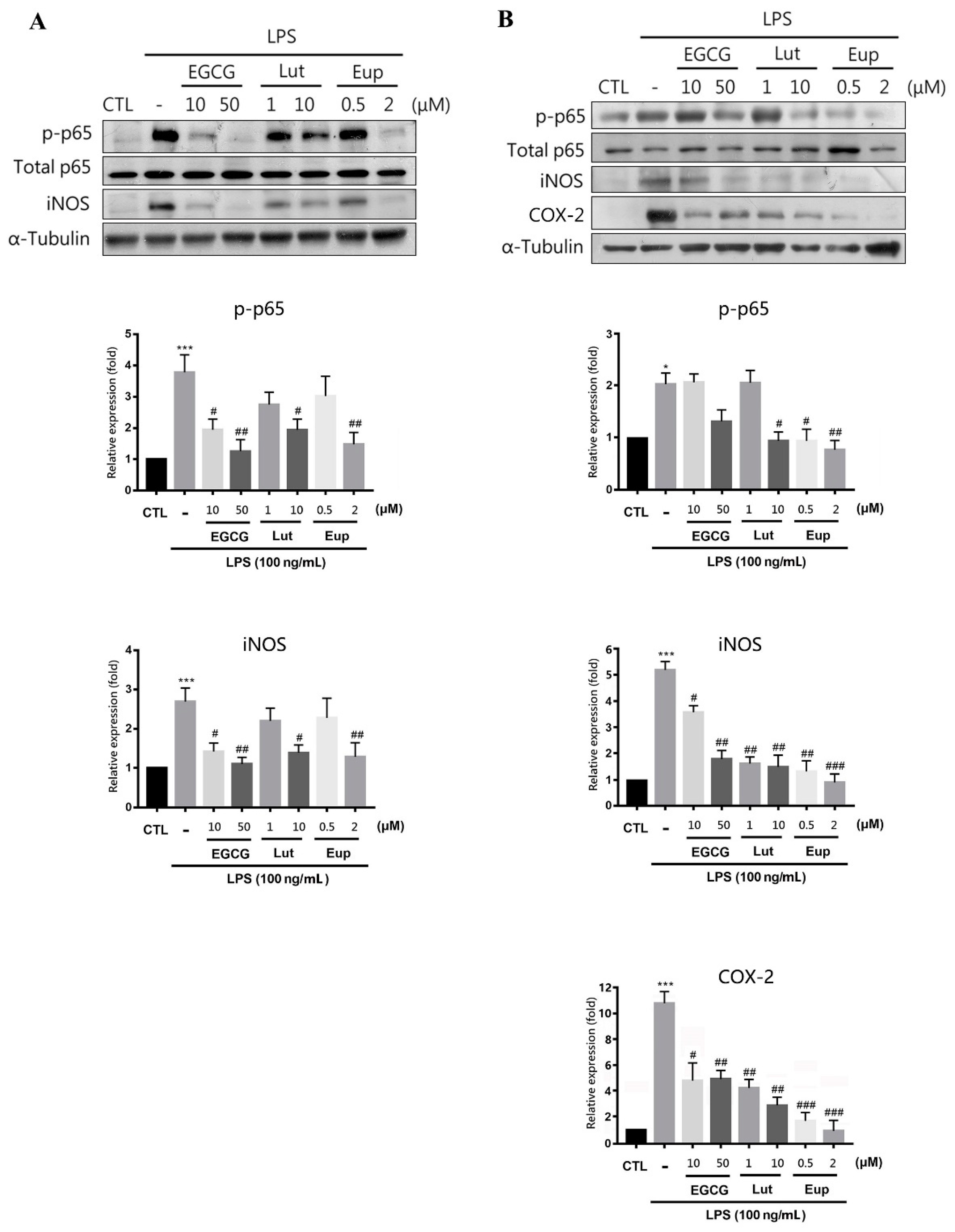 Molecules 25 05652 g002 Molecules 25 05652 g002